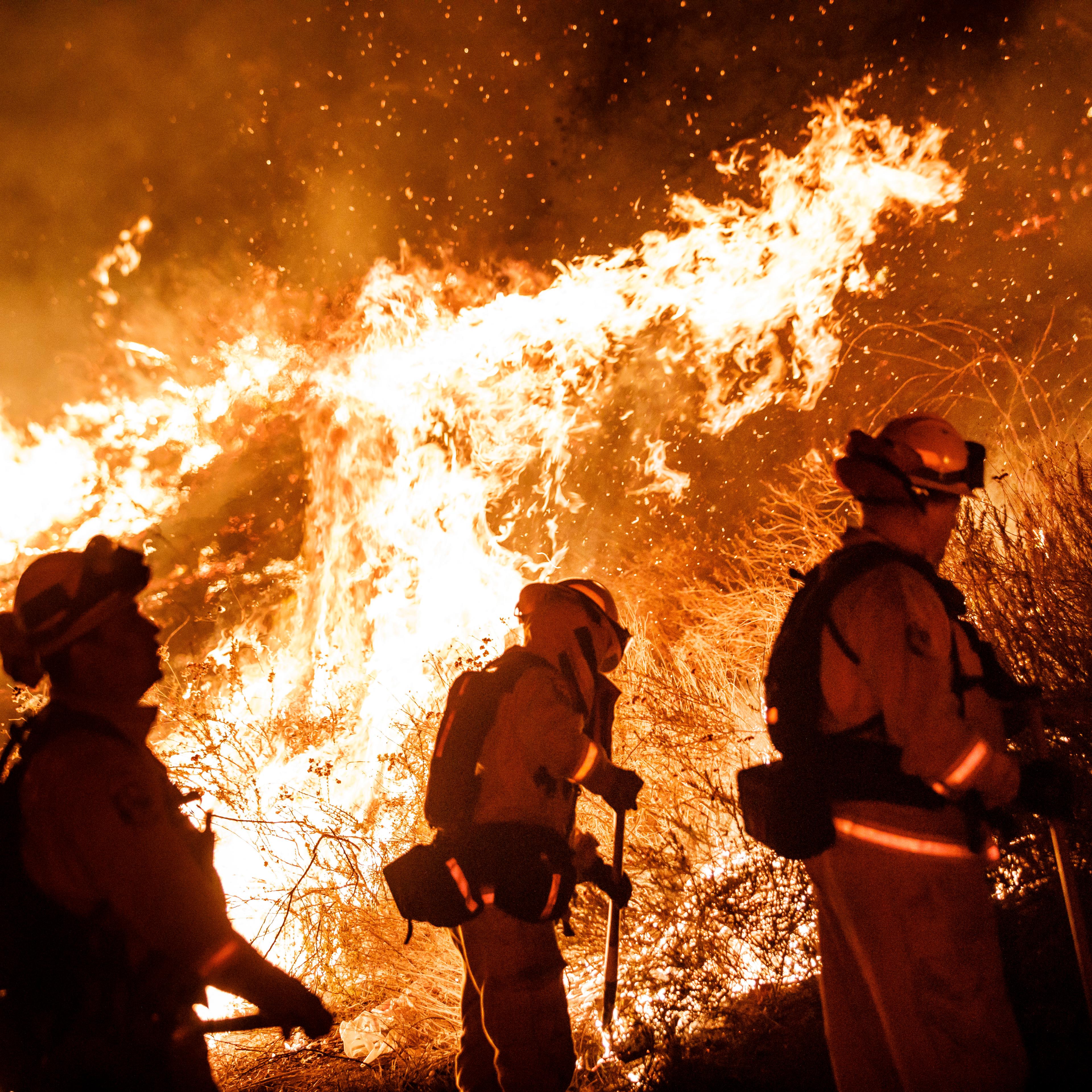 California Wildfire Size