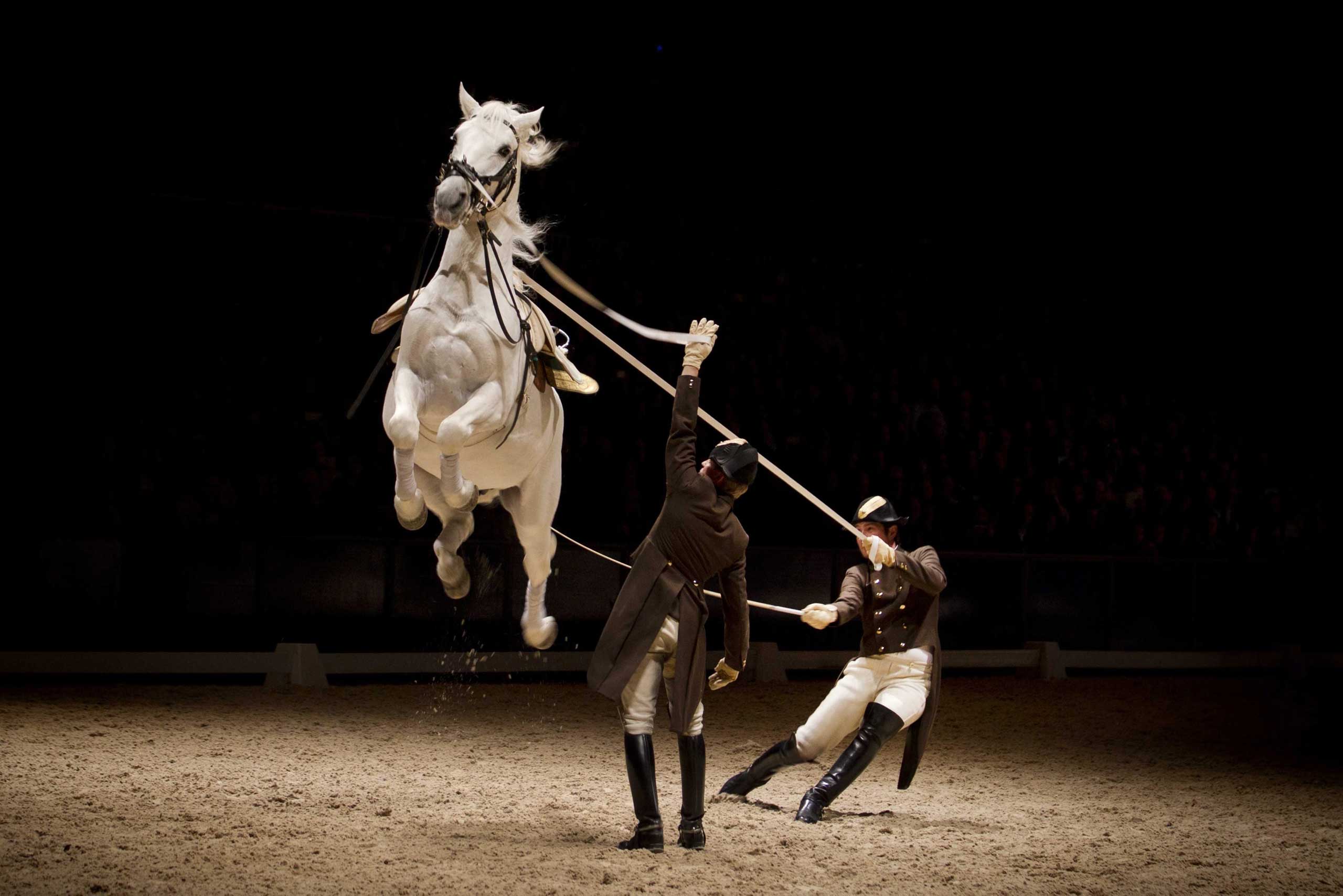 Spanish Riding School performs in Amsterdam