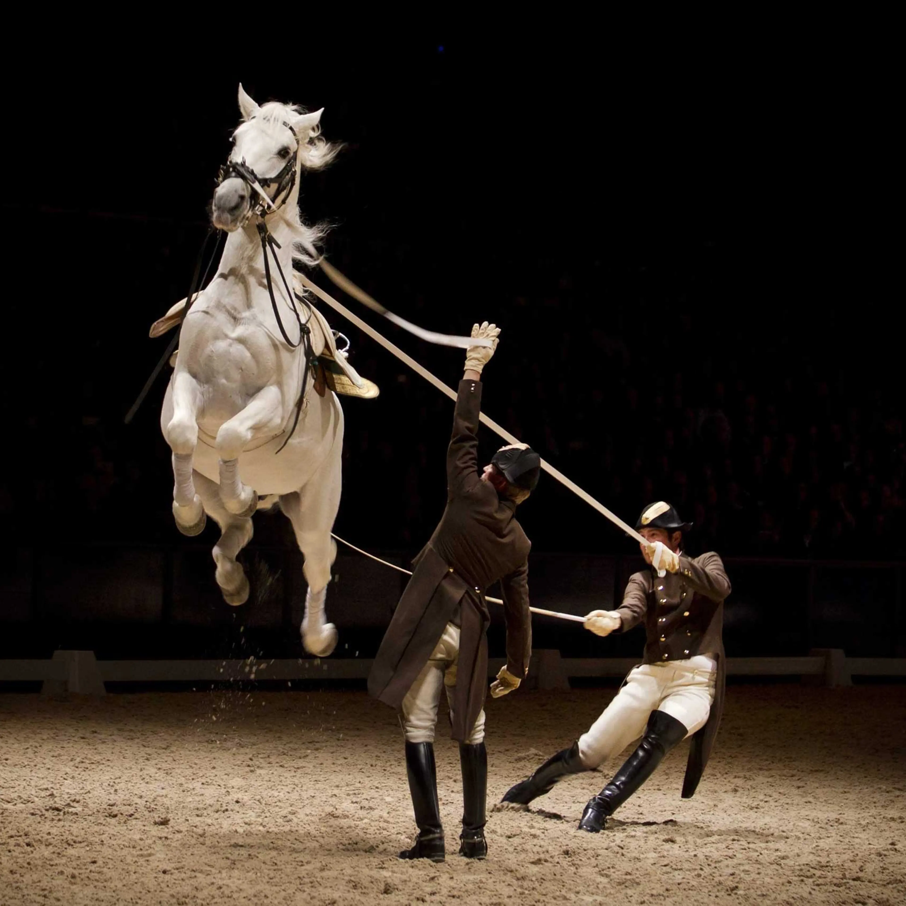 Spanish Riding School performs in Amsterdam