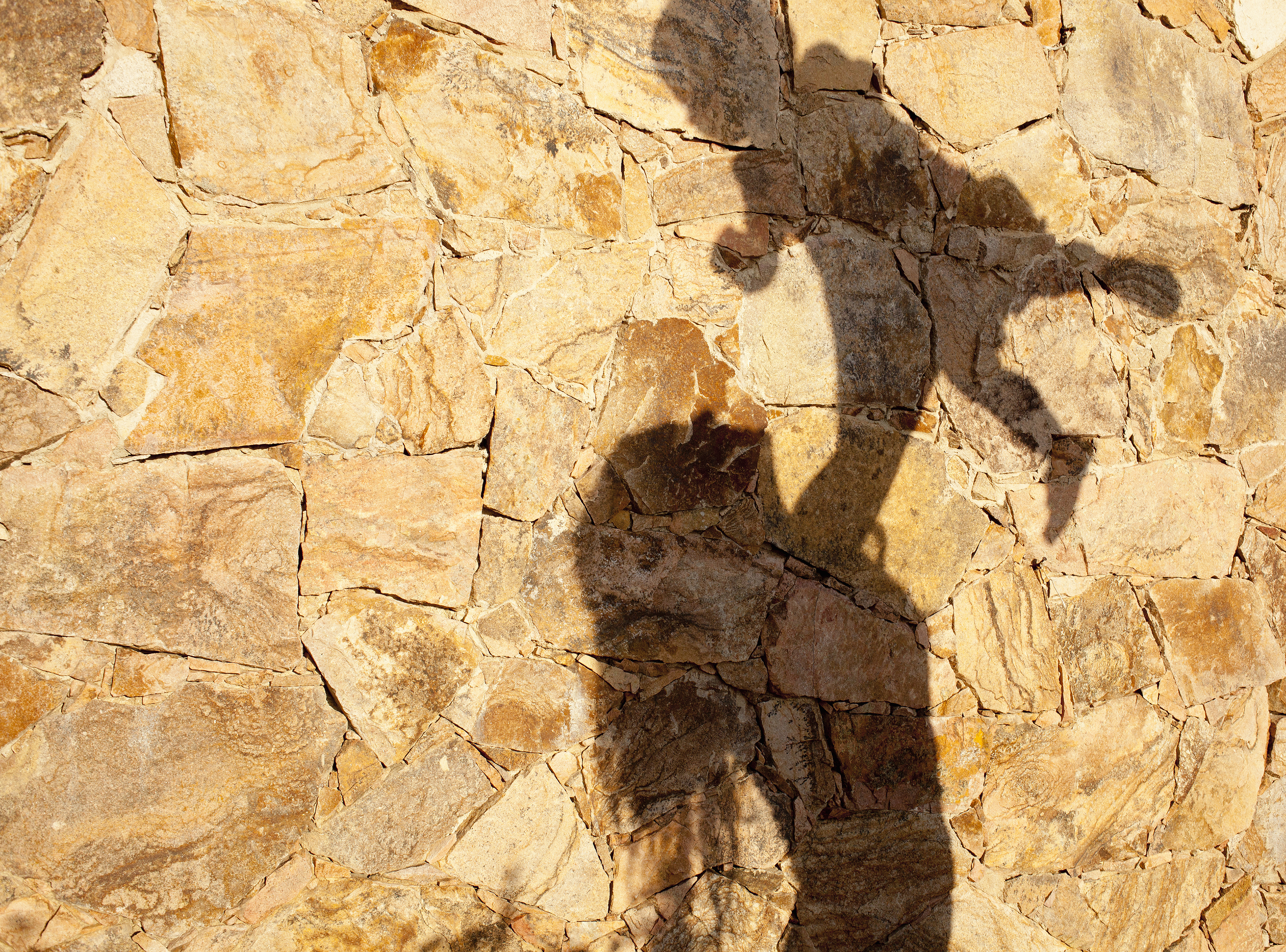 Shadow of mother lifting baby