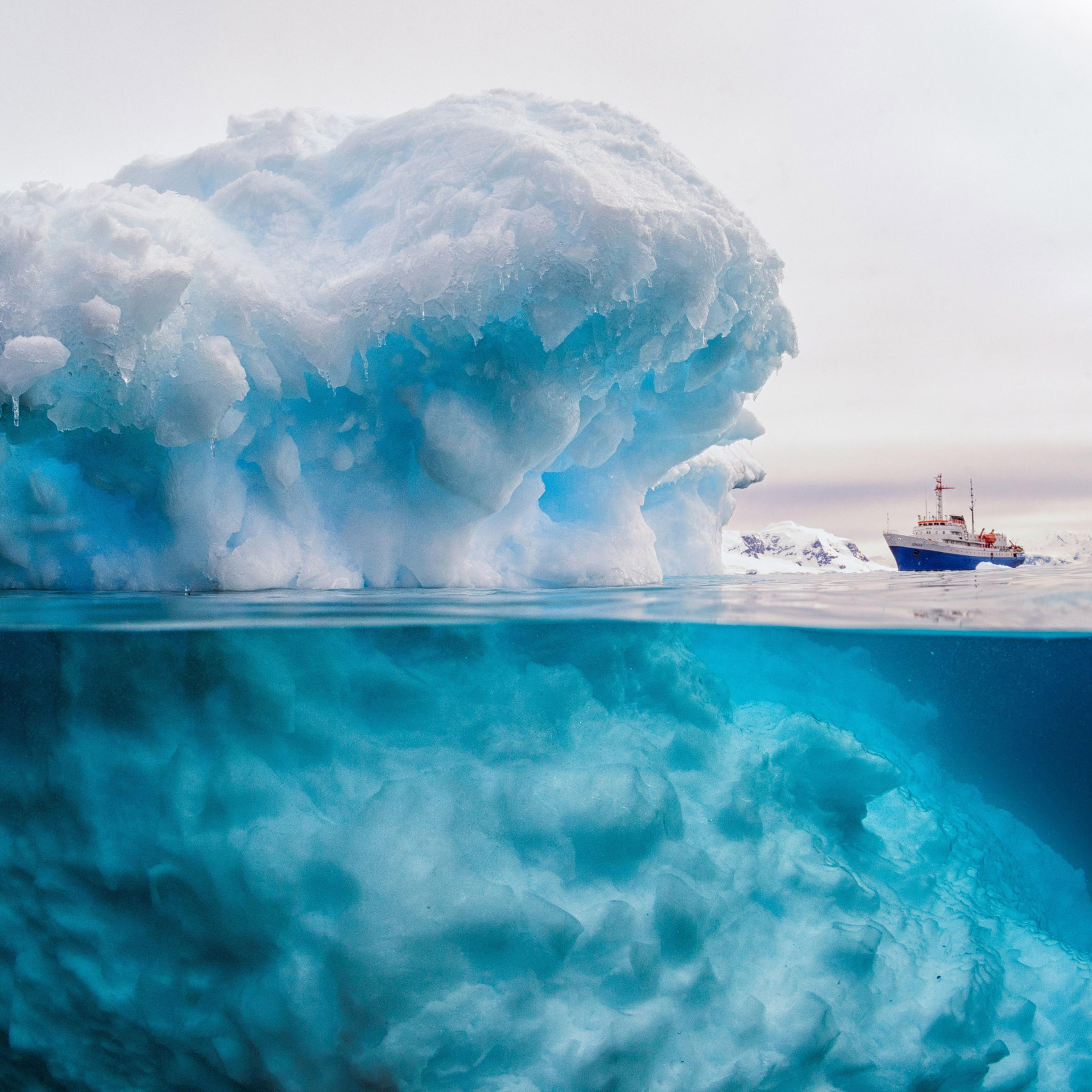 An iceberg appears to dwarf a 3,000 tonne ship in the Antarctic Peninsula in Feb. 2016.