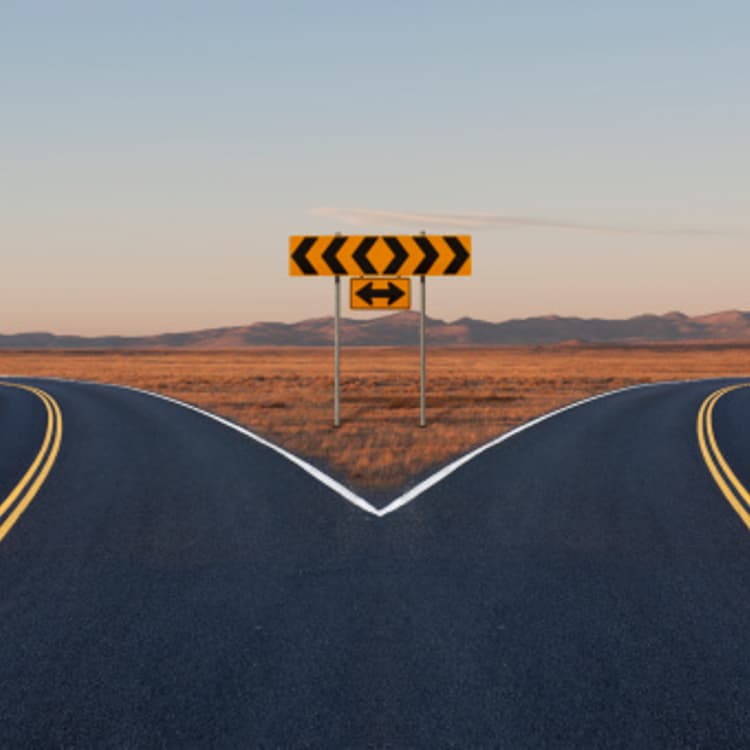 fork-road