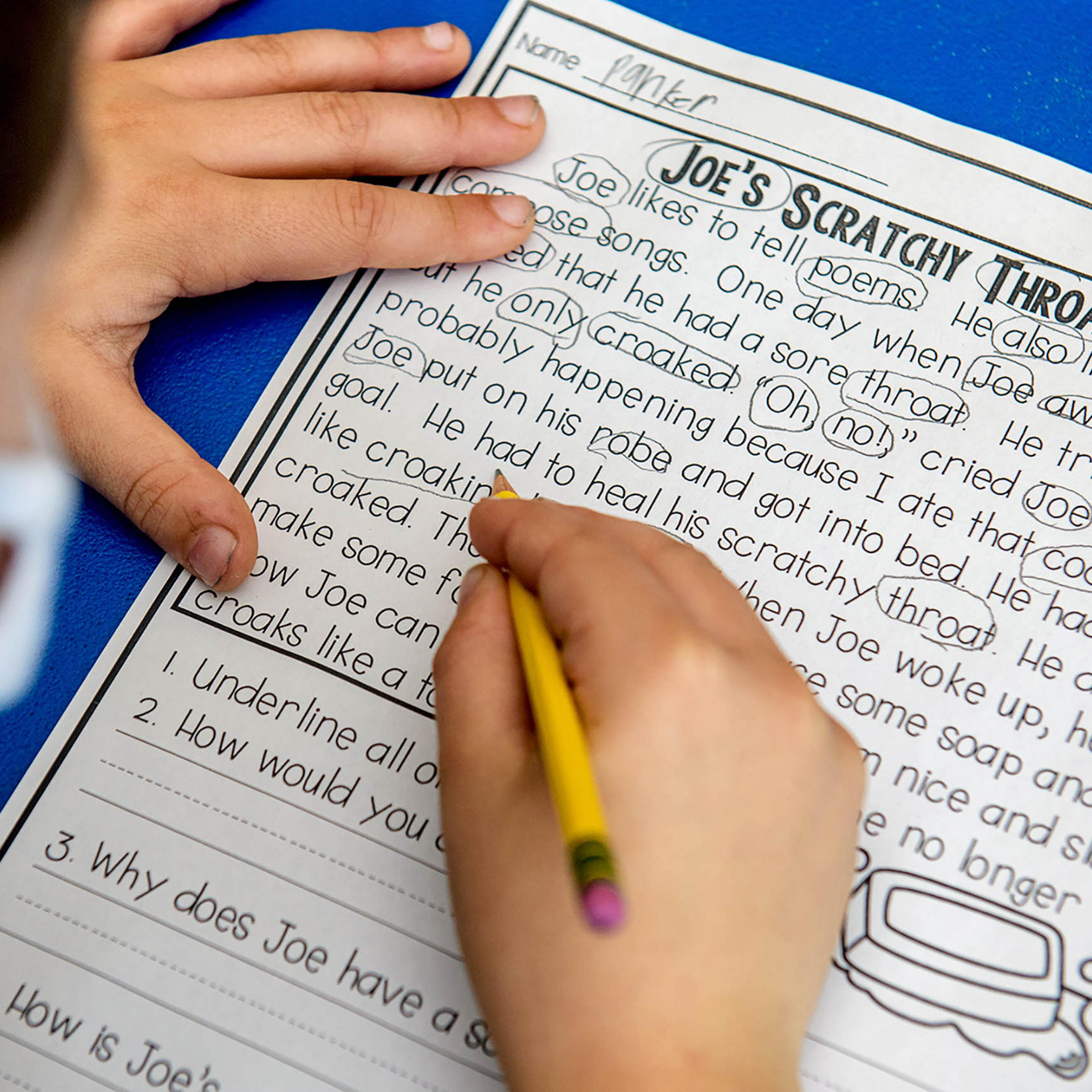 Central Primary School third-grader Parker Meinders works diligently through a phonics comprehension lesson with special