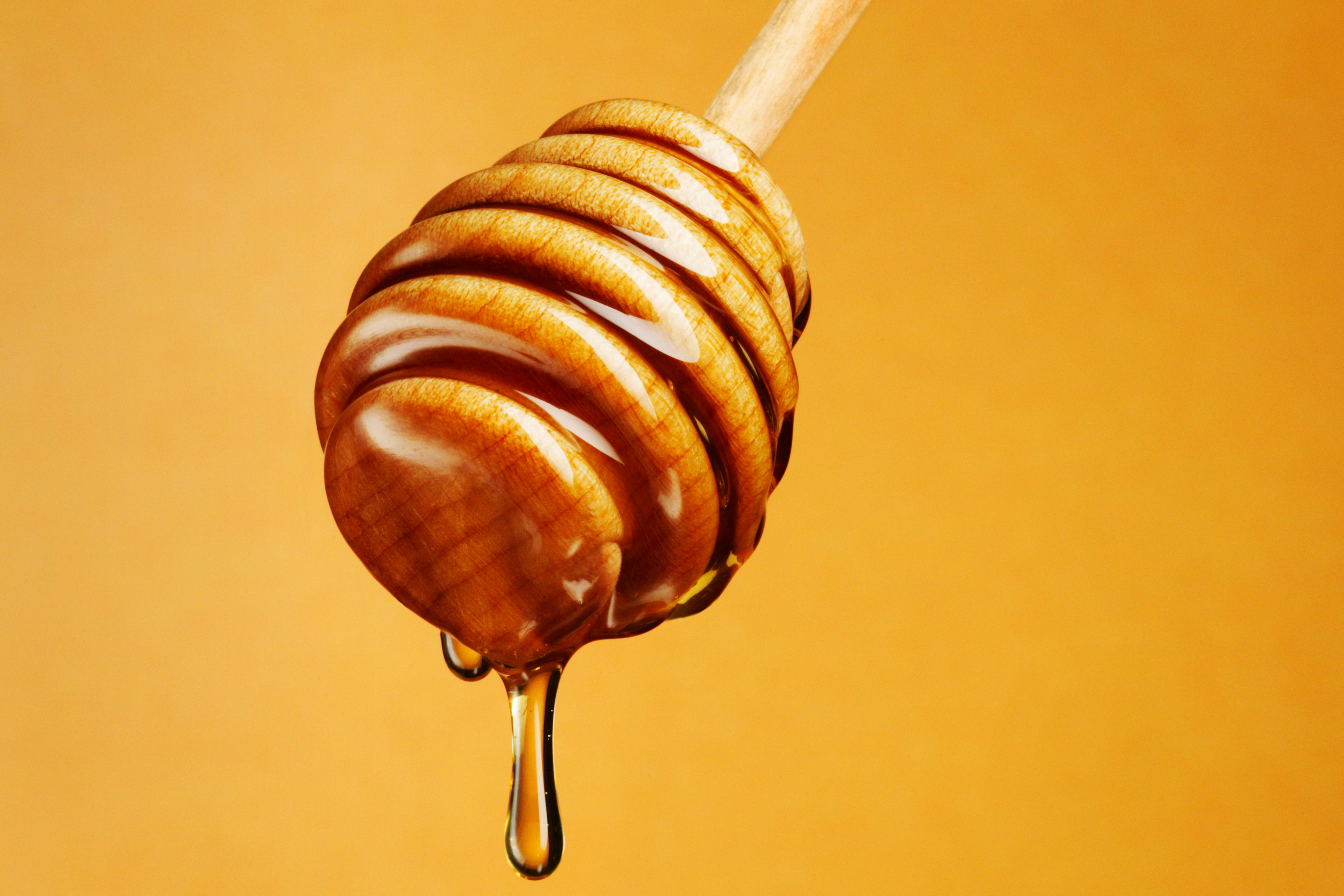 Honey dripping off Dripper