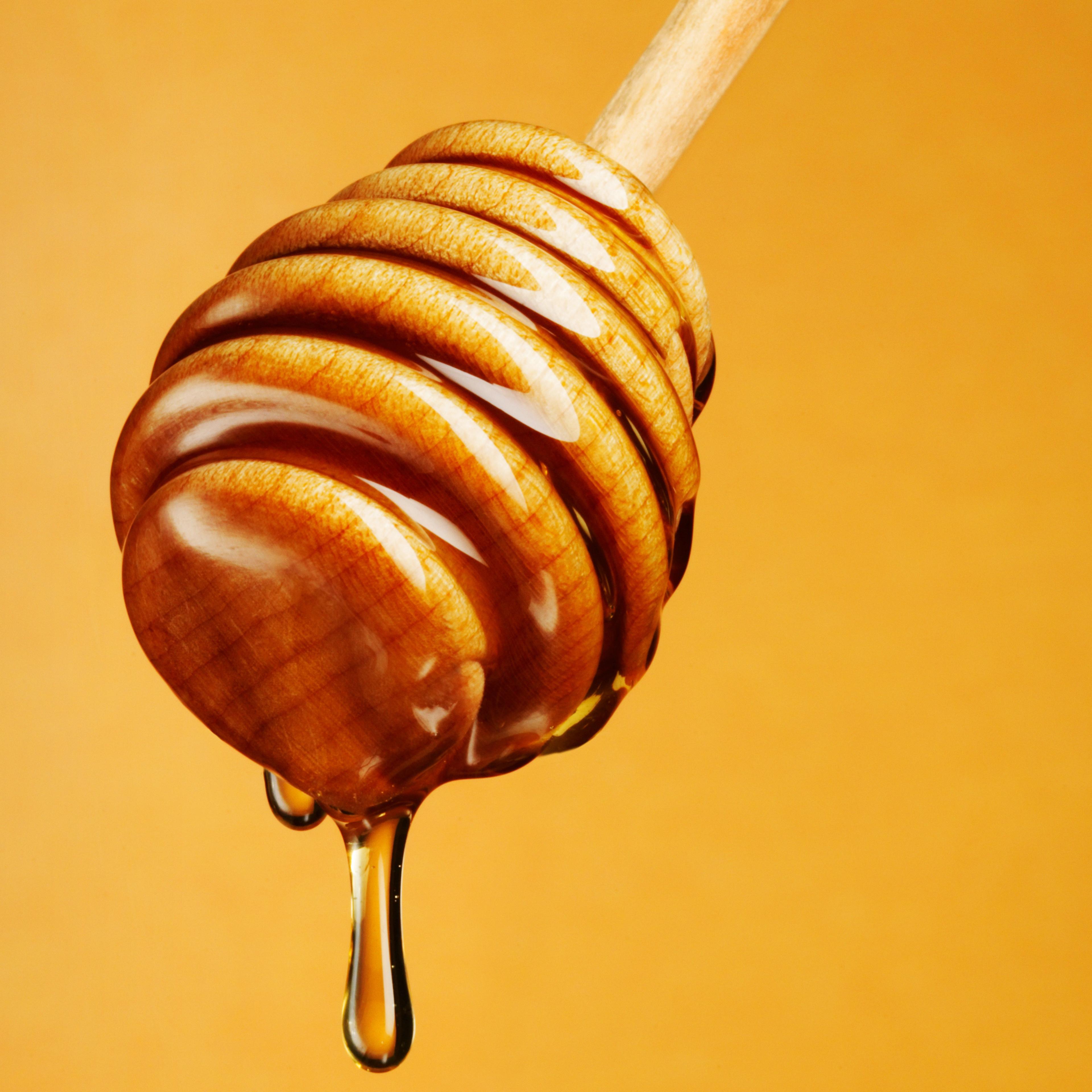 Honey dripping off Dripper