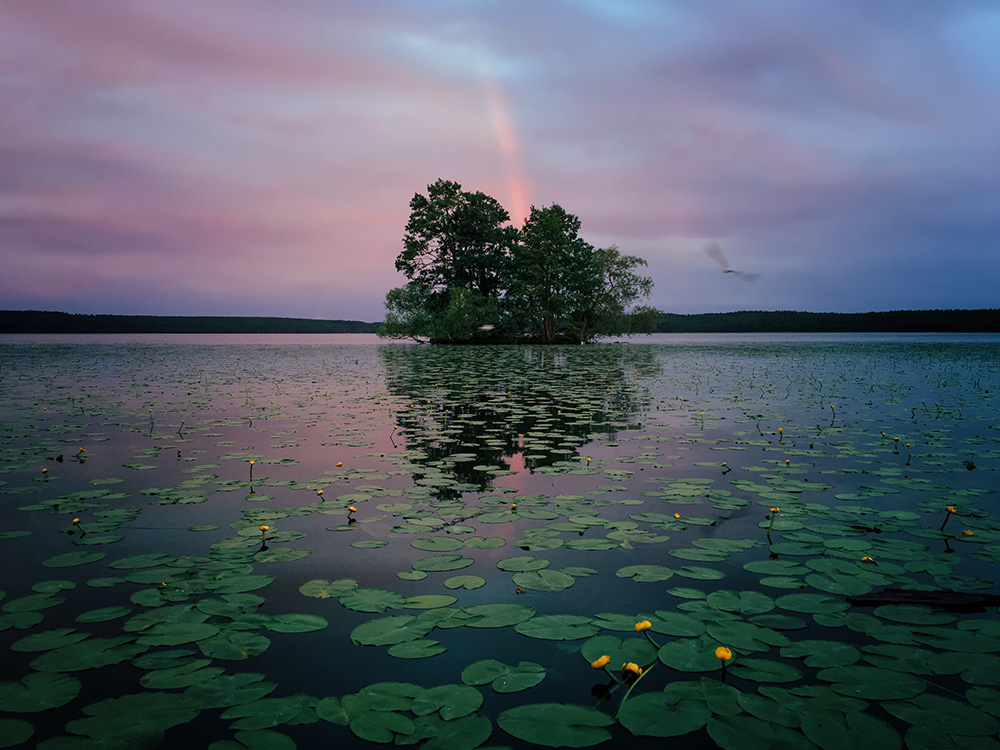 1st Place – Nature