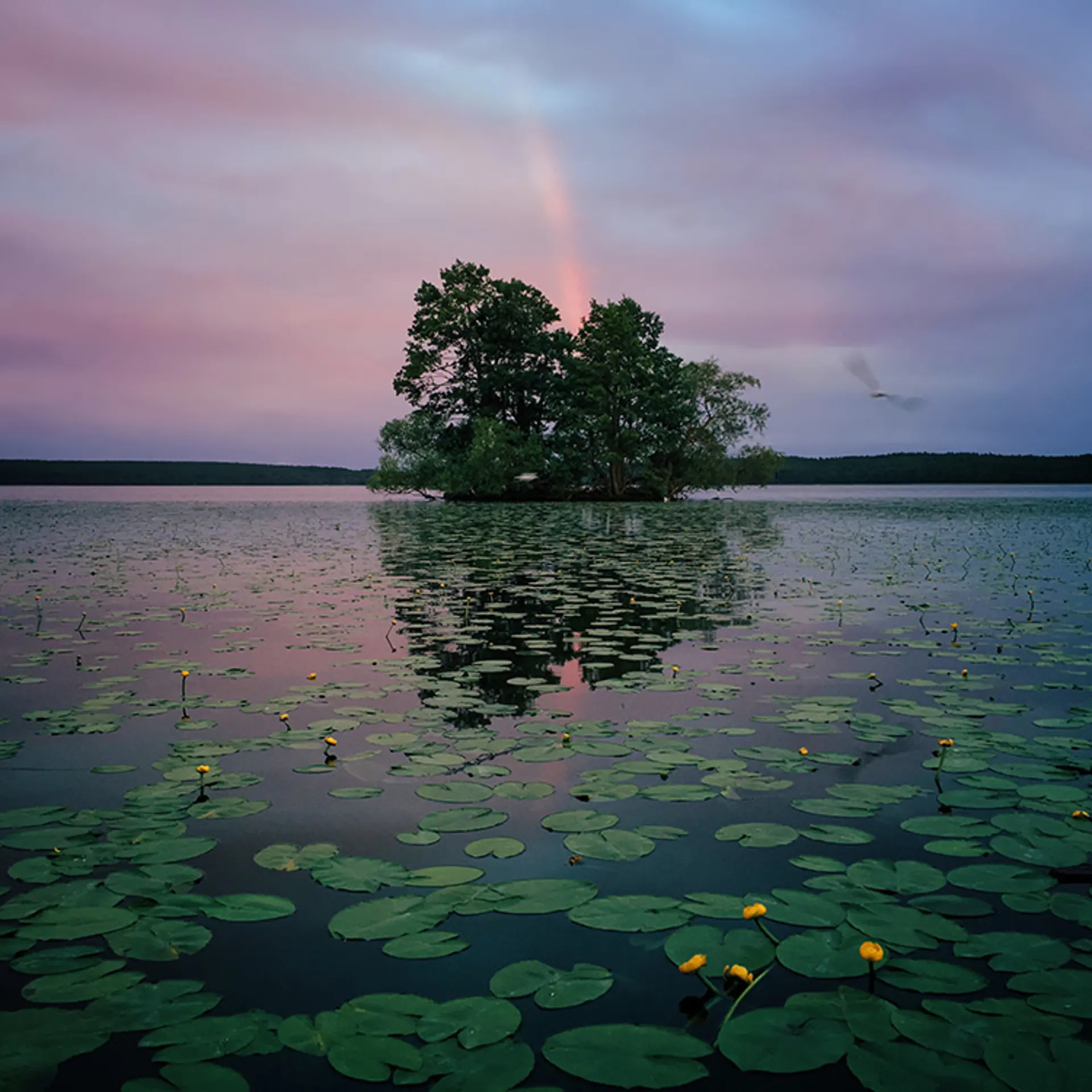 1st Place – Nature
