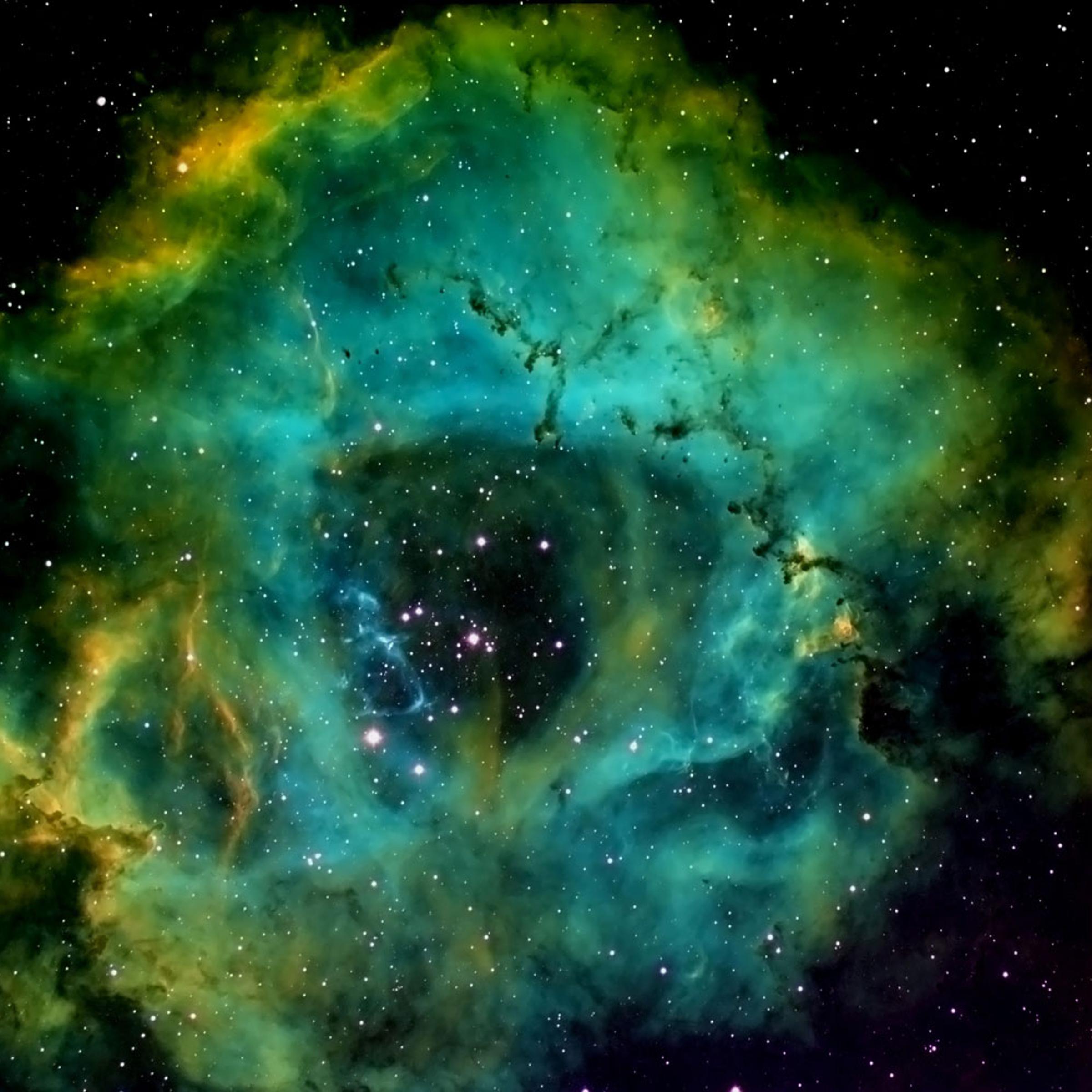Rosette nebula, NGC 2237, taken from Waukesha, Wisc., on Jan. 6, 2014.