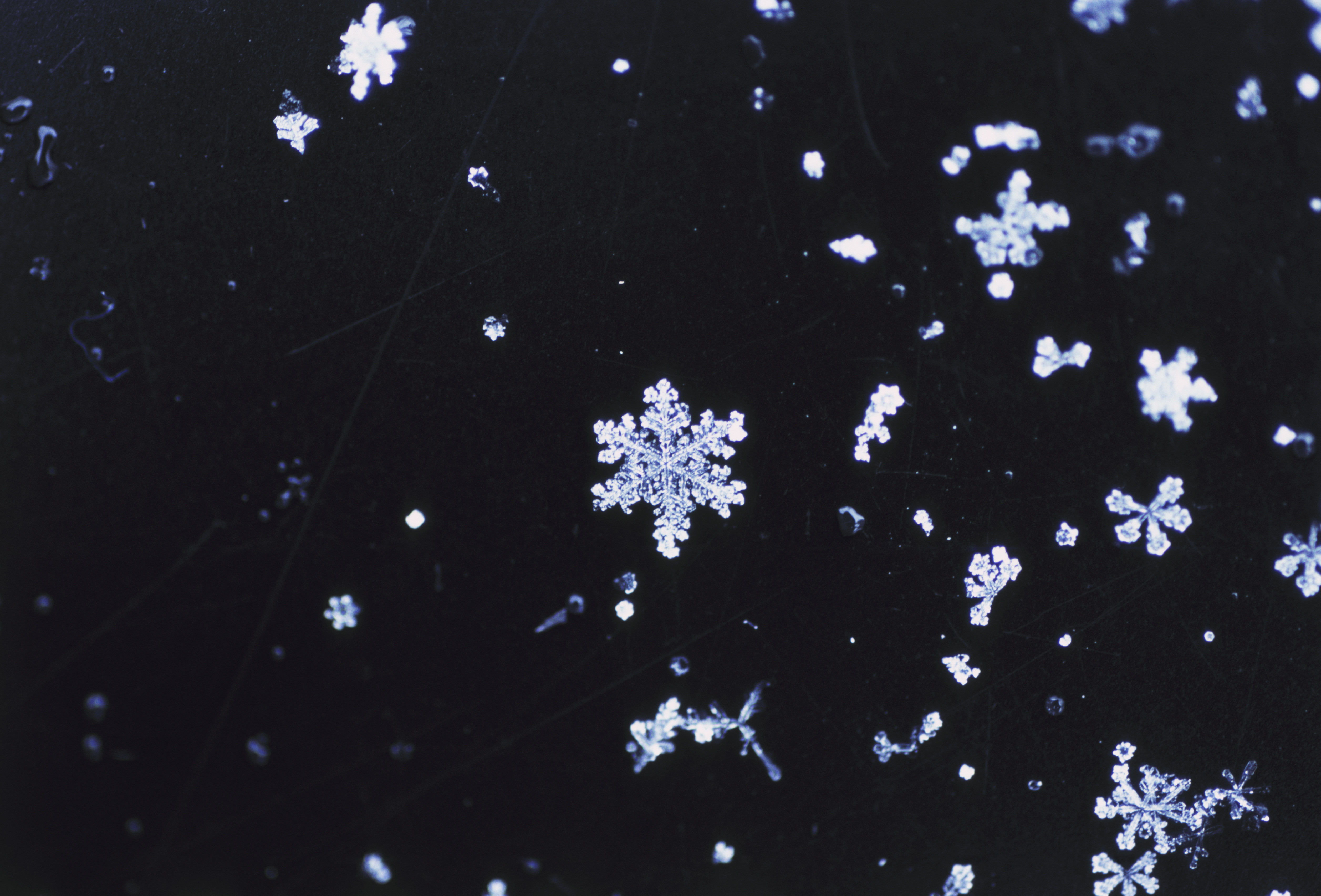 Snowflakes