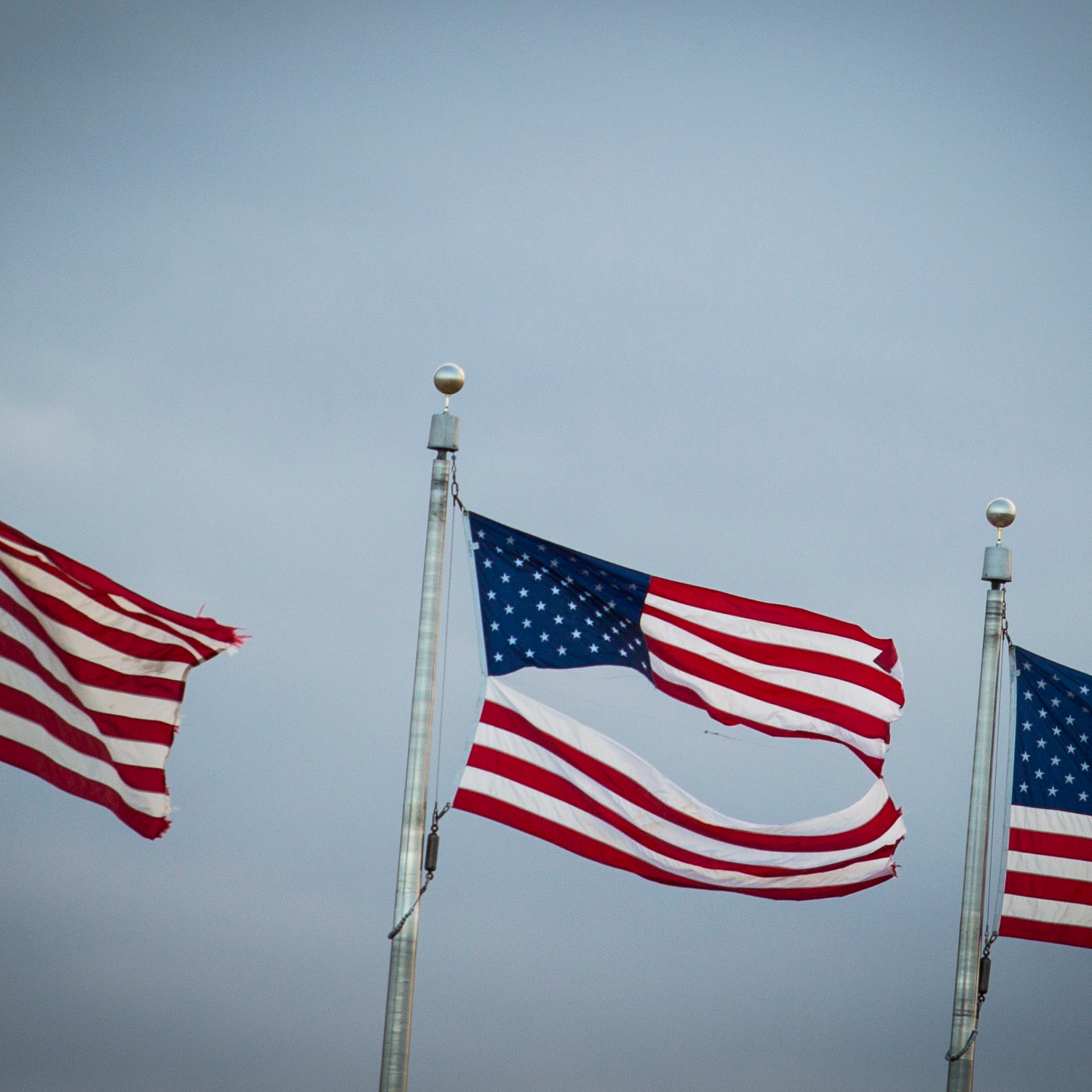 Divided flag