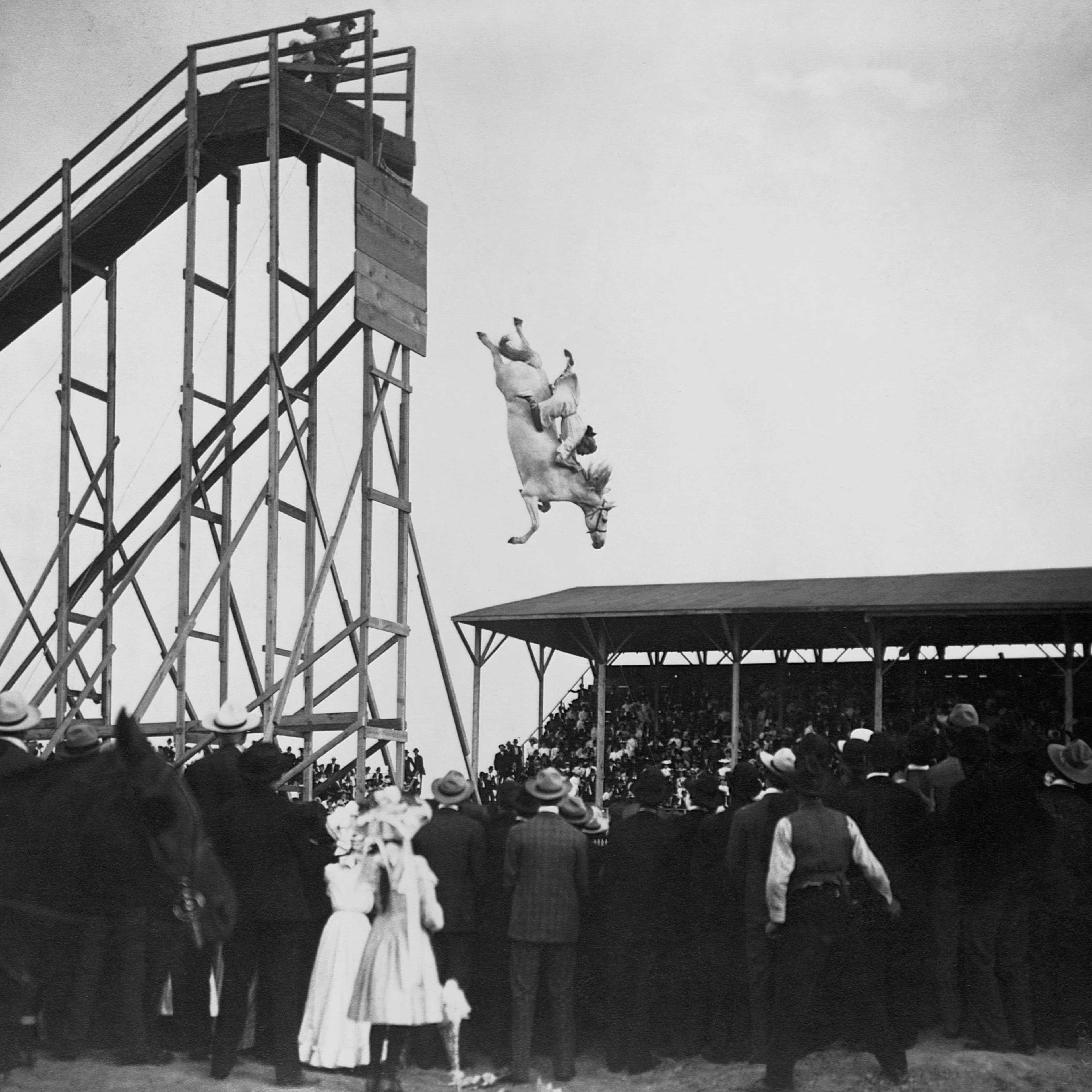Diving Horse Act