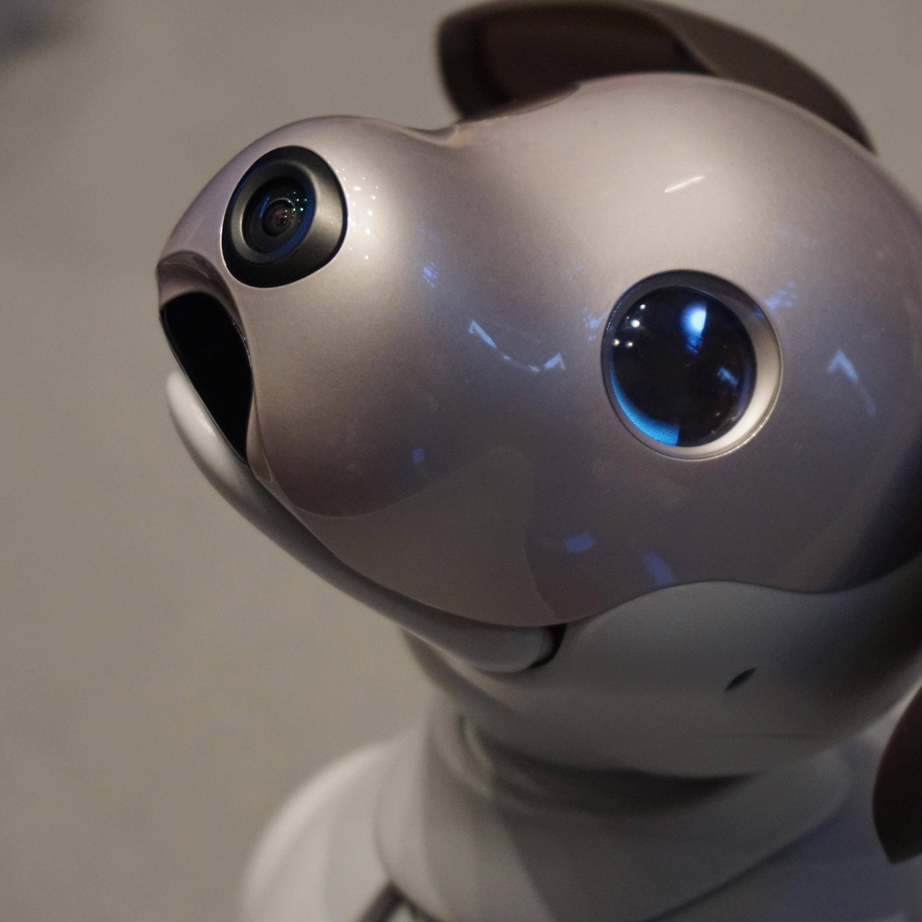 A close up of Sony's Aibo, a robotic dog