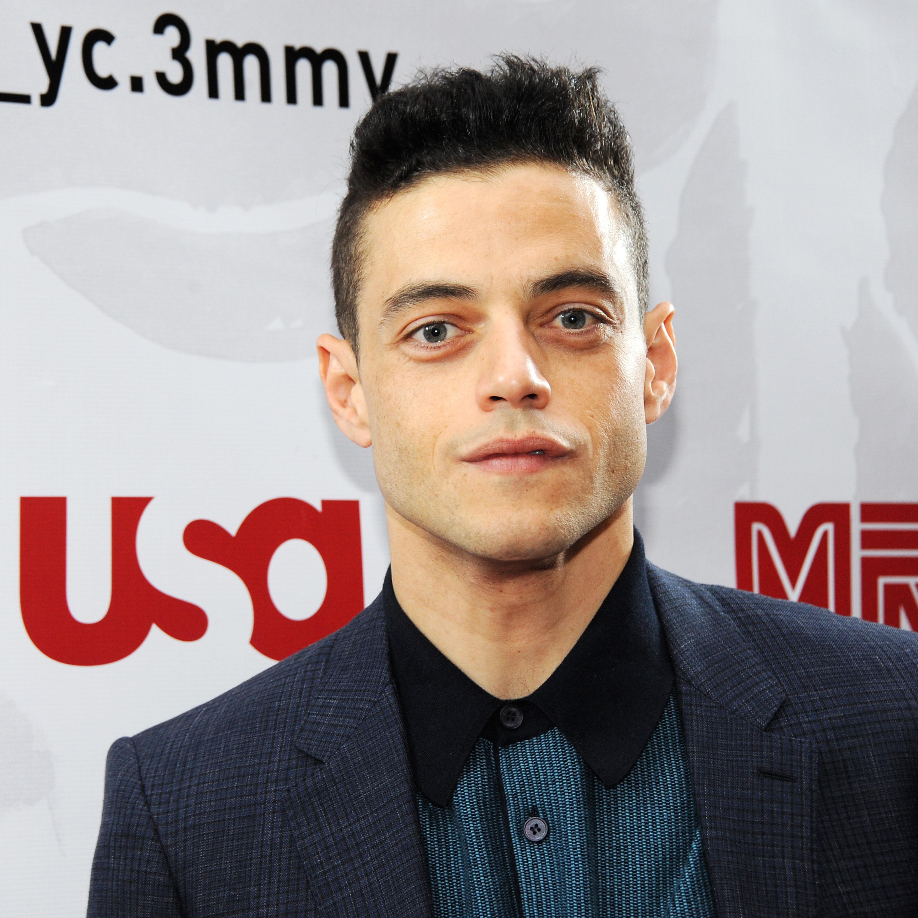 "Mr. Robot" FYC Screening