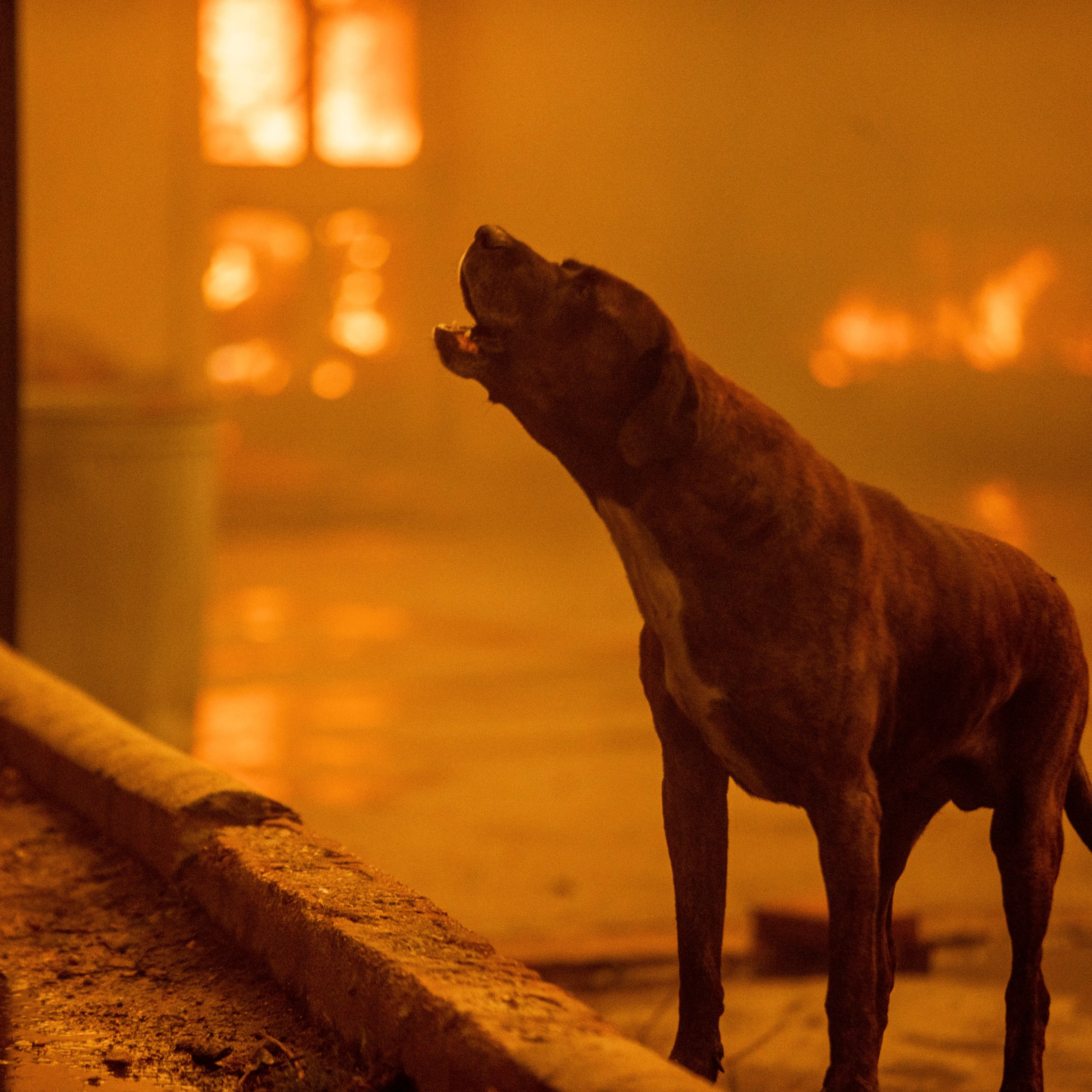 California Wildfires