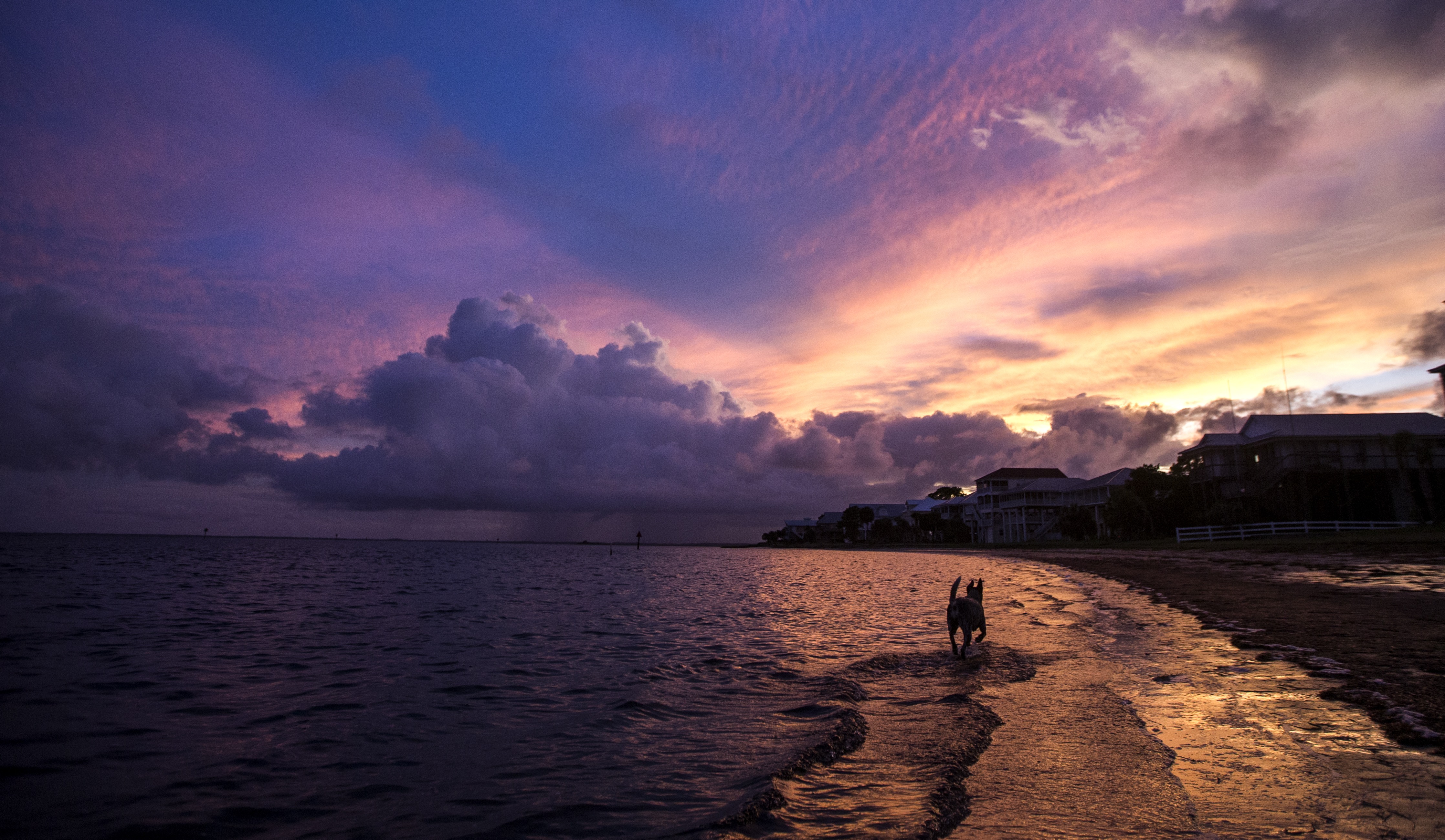 florida hurricane hermine tropical storm