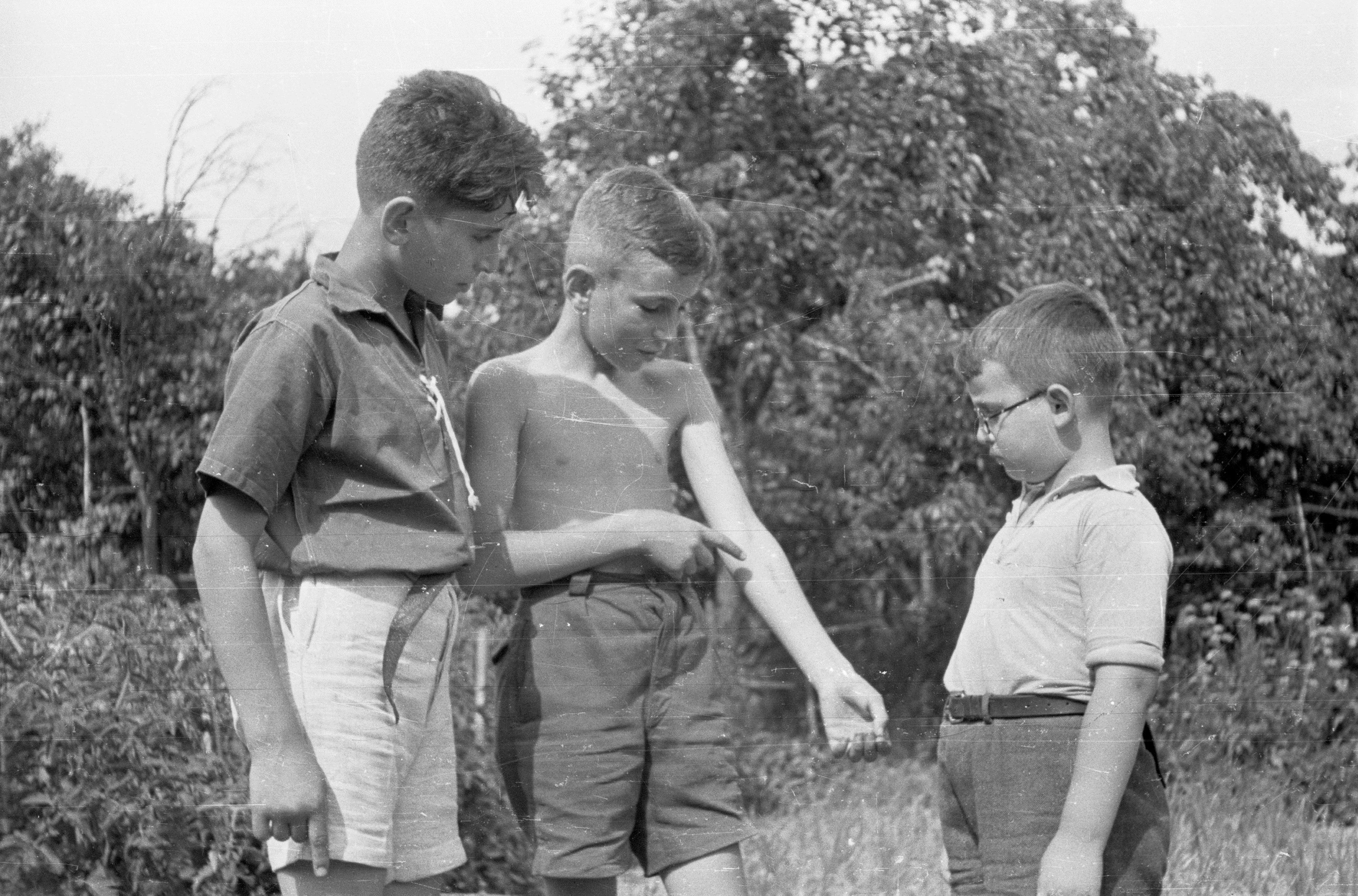 Displaying concentration camp tattoo in a Joint-sponsored summer camp, Pieszce (Pietrolesie), Poland, 1947.