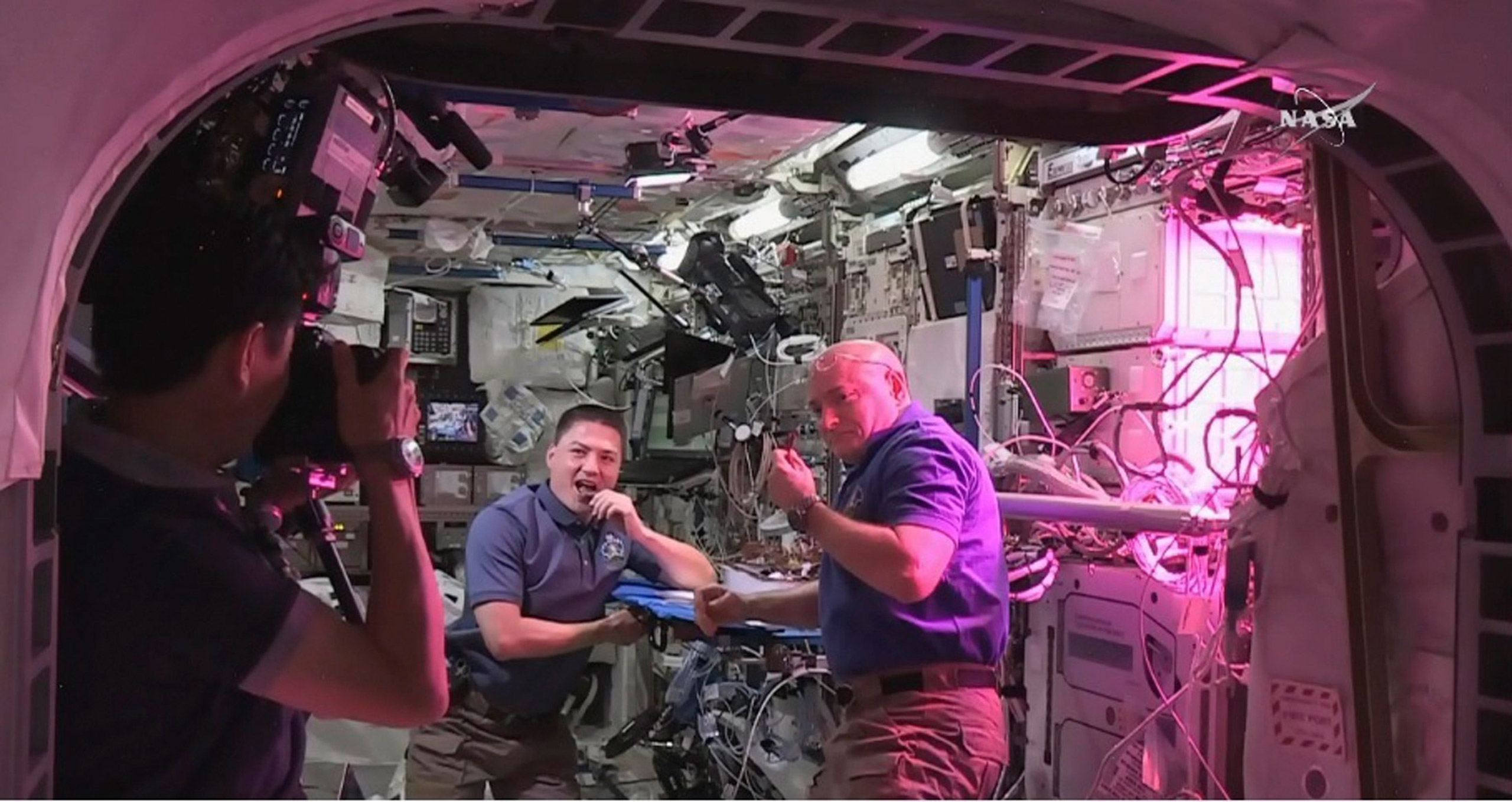 space station lettuce