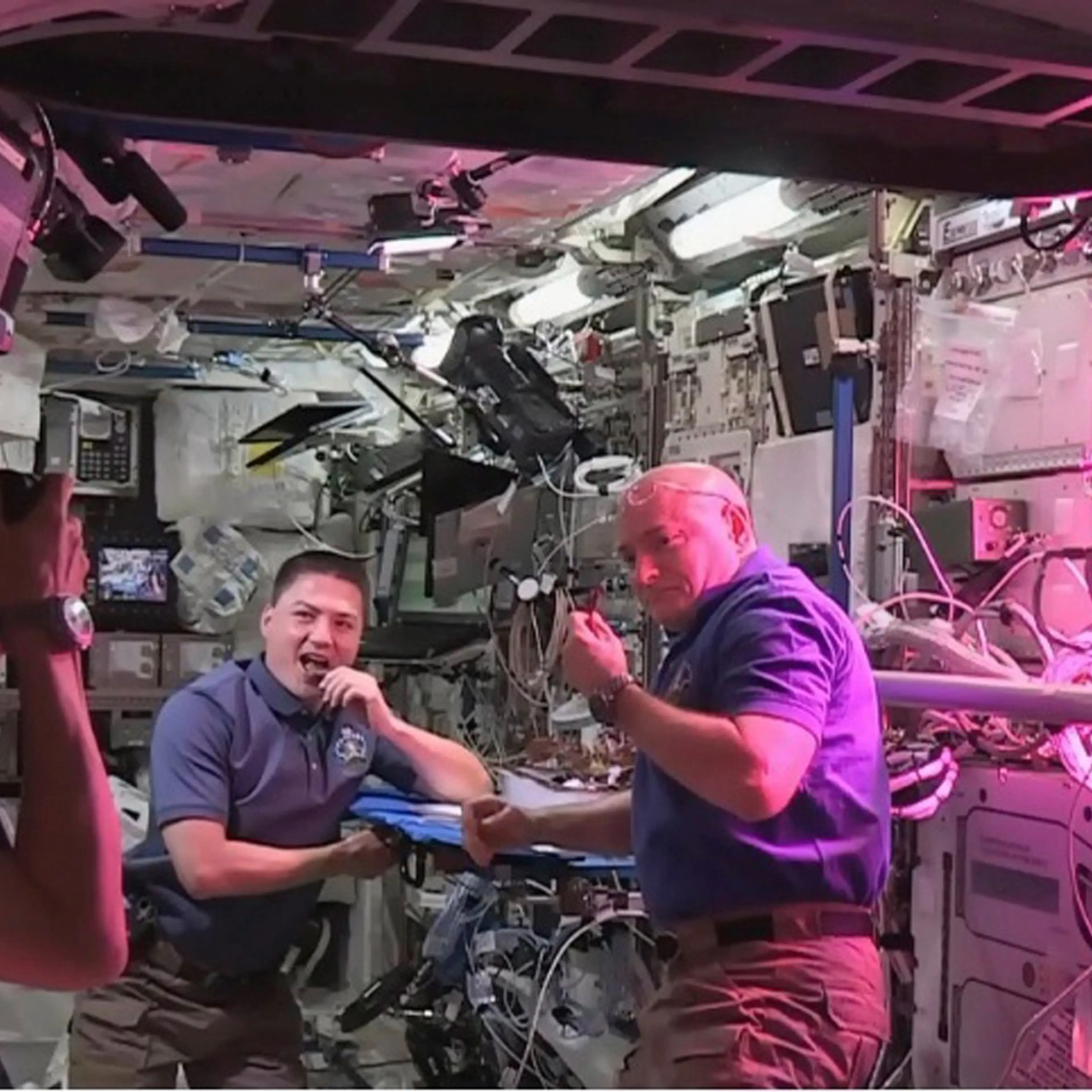 space station lettuce