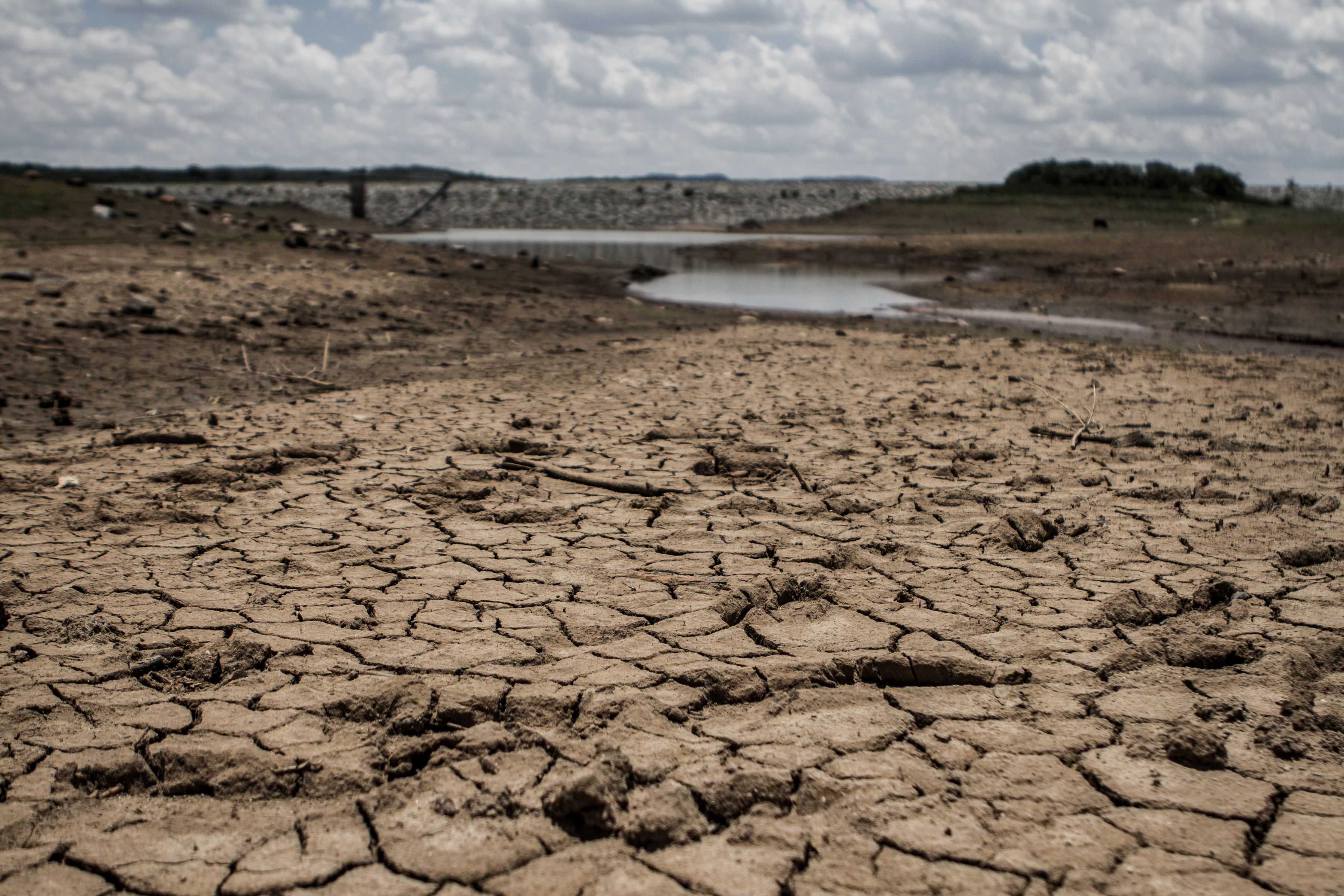 ZIMBABWE-DROUGHT-FOOD-DISASTER