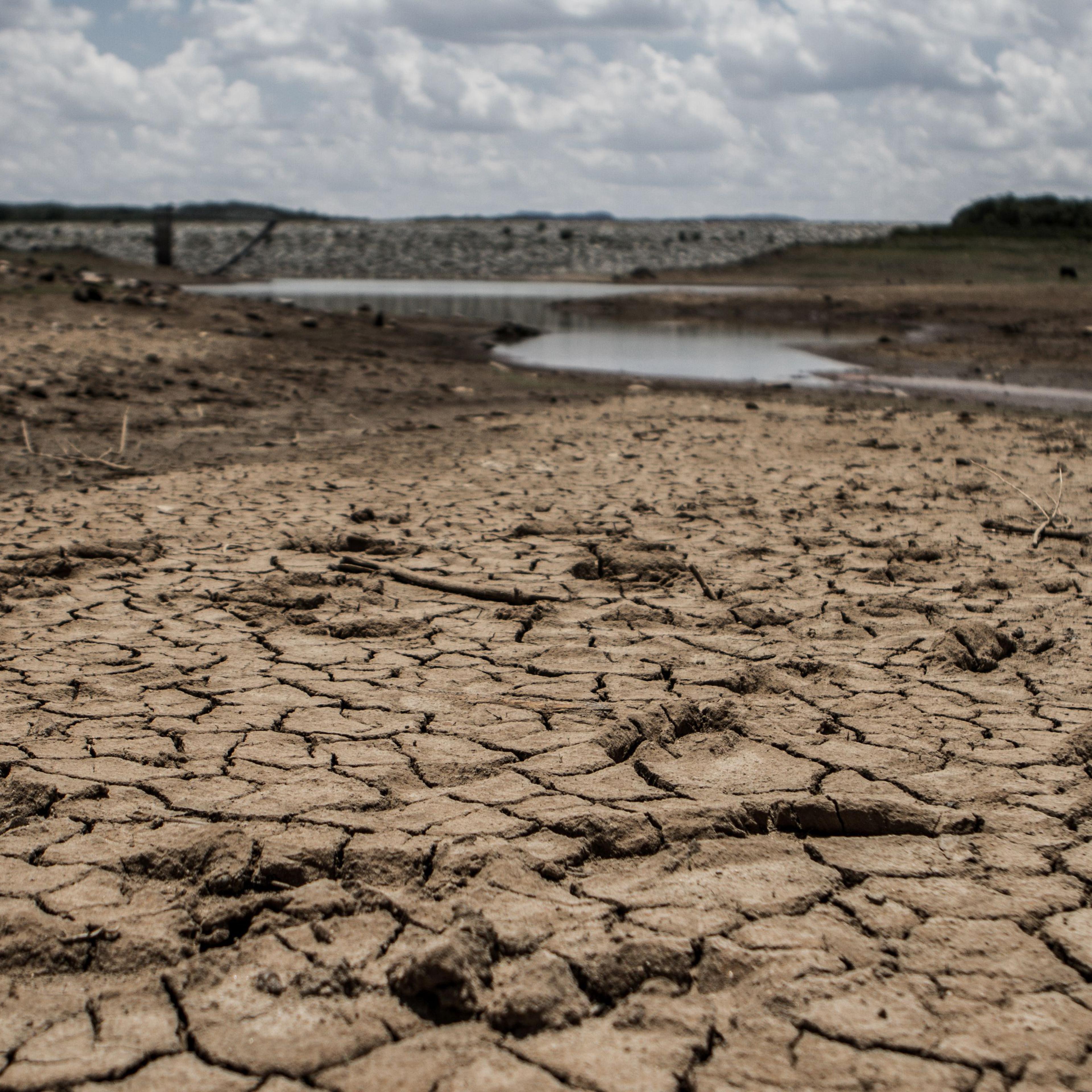 ZIMBABWE-DROUGHT-FOOD-DISASTER