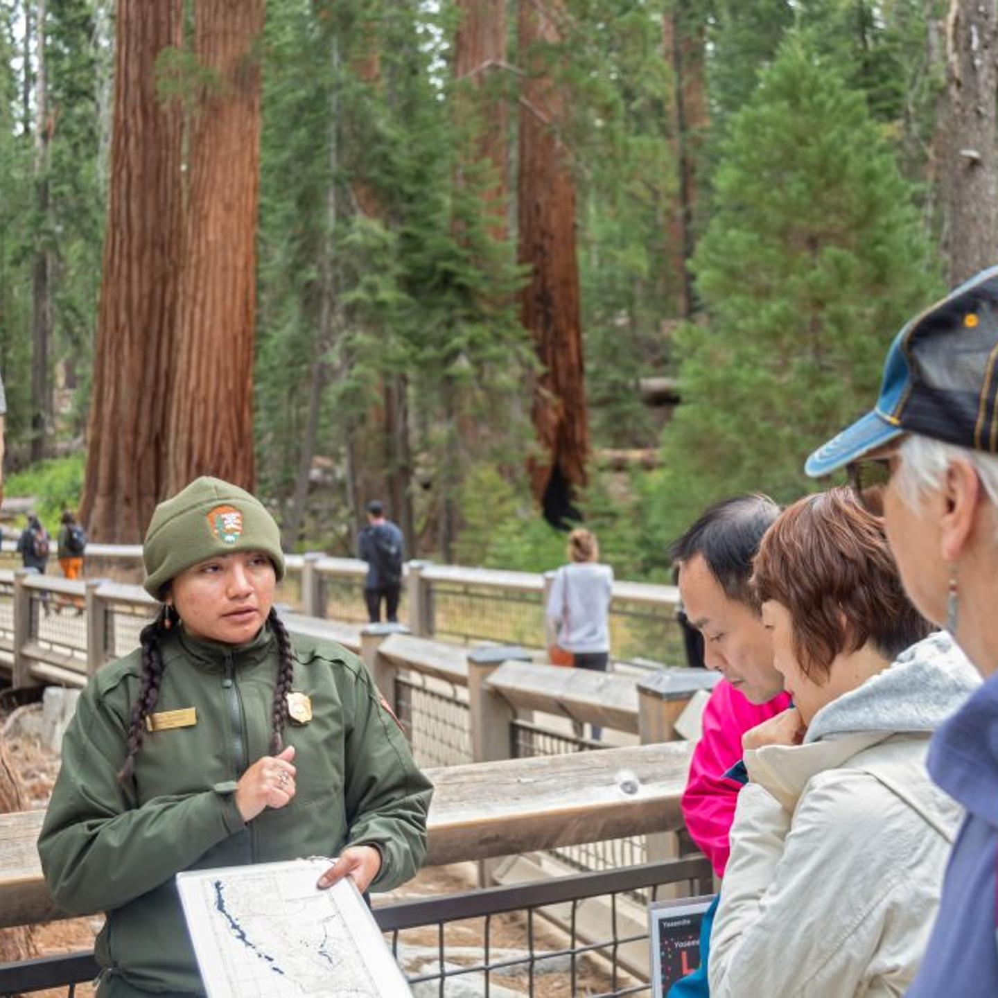 Mariposa Grove of Giant Sequoias