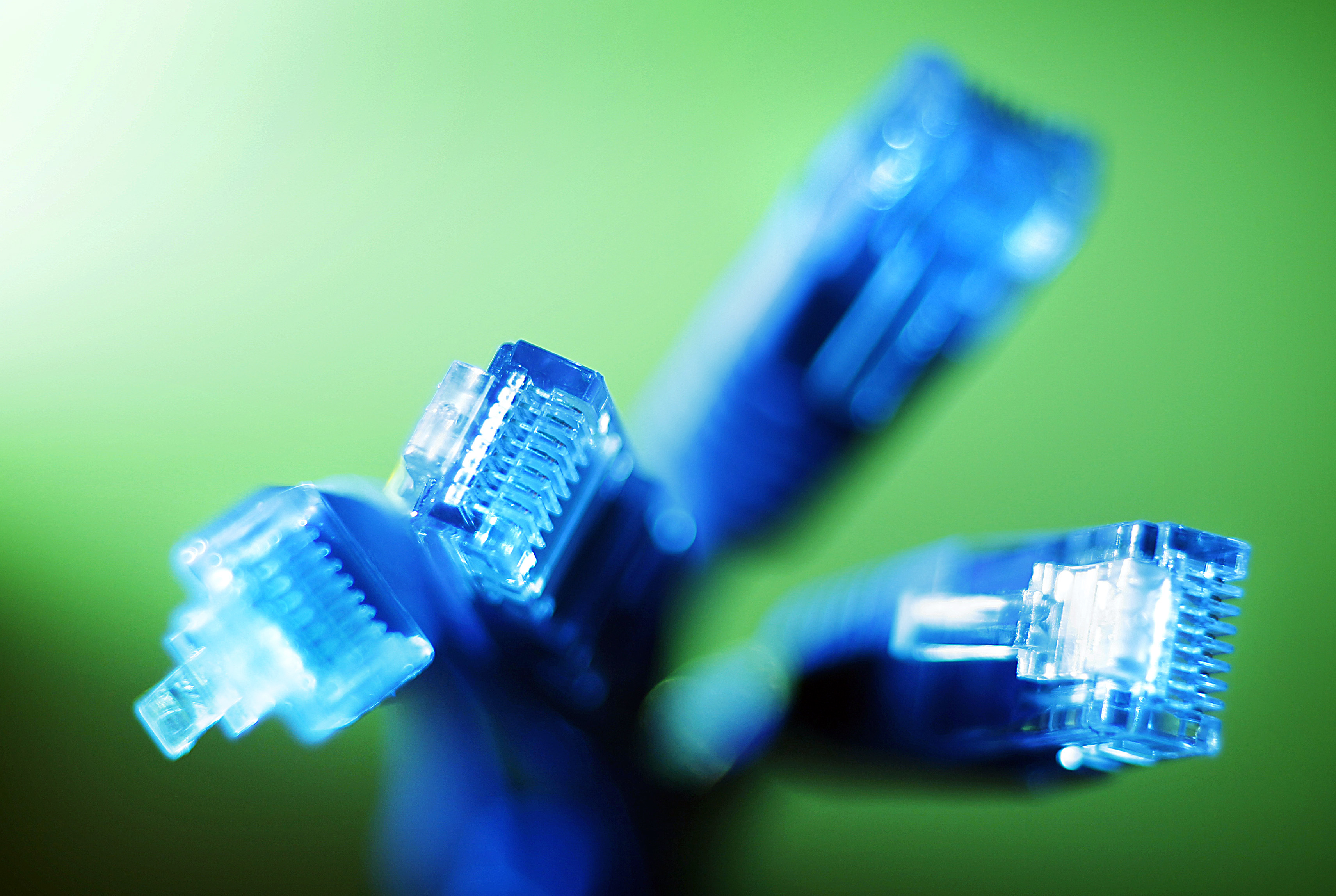 Internet LAN cables are pictured in this photo illustration taken in Sydney