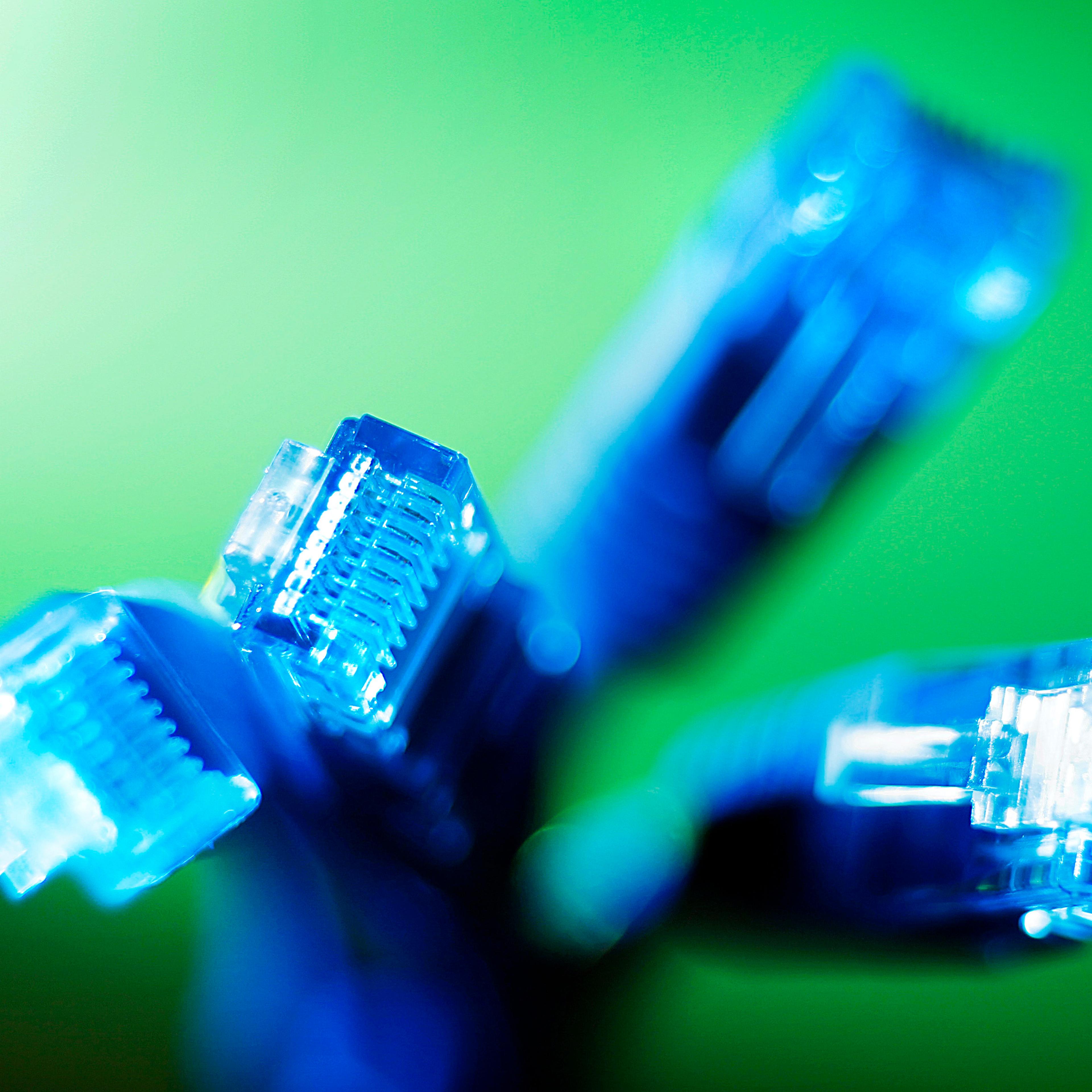 Internet LAN cables are pictured in this photo illustration taken in Sydney