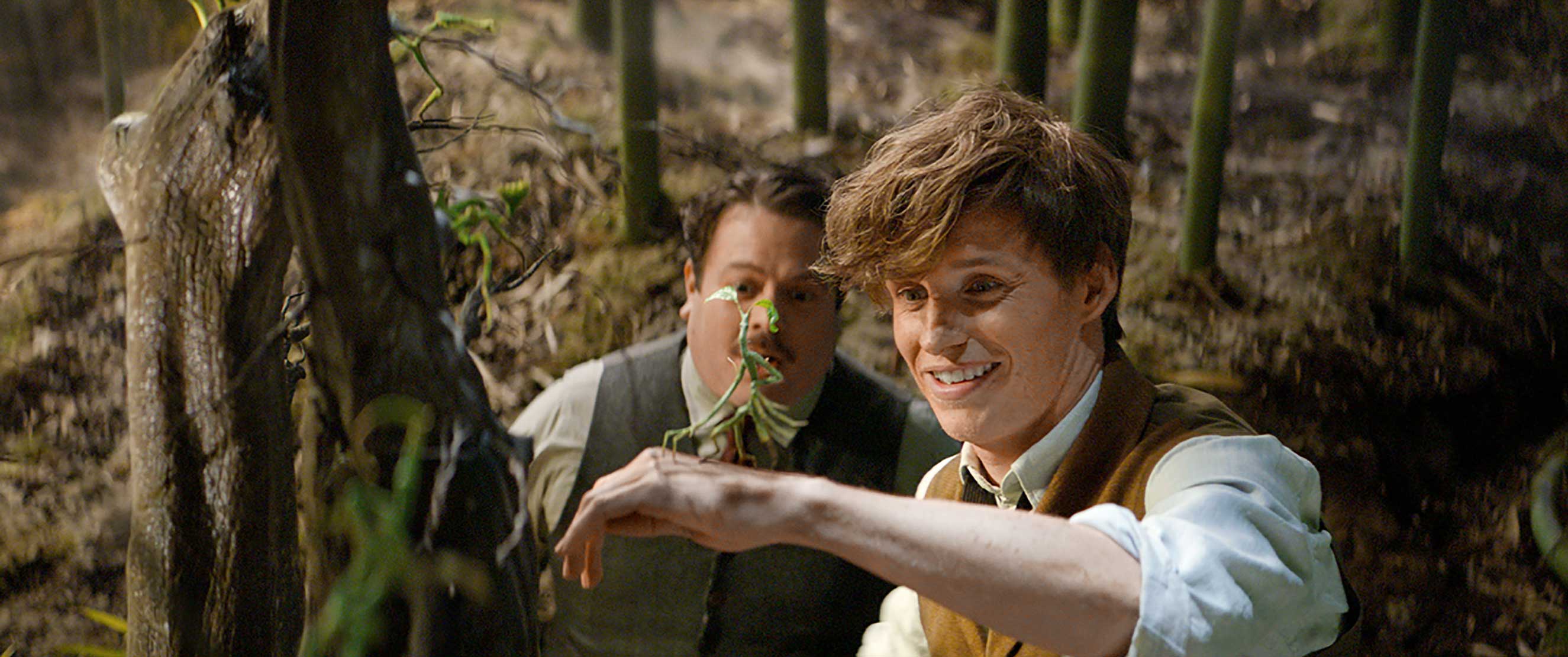 fantastic-beasts-and-where-to-find-them-eddie-redmayne-warner-bros