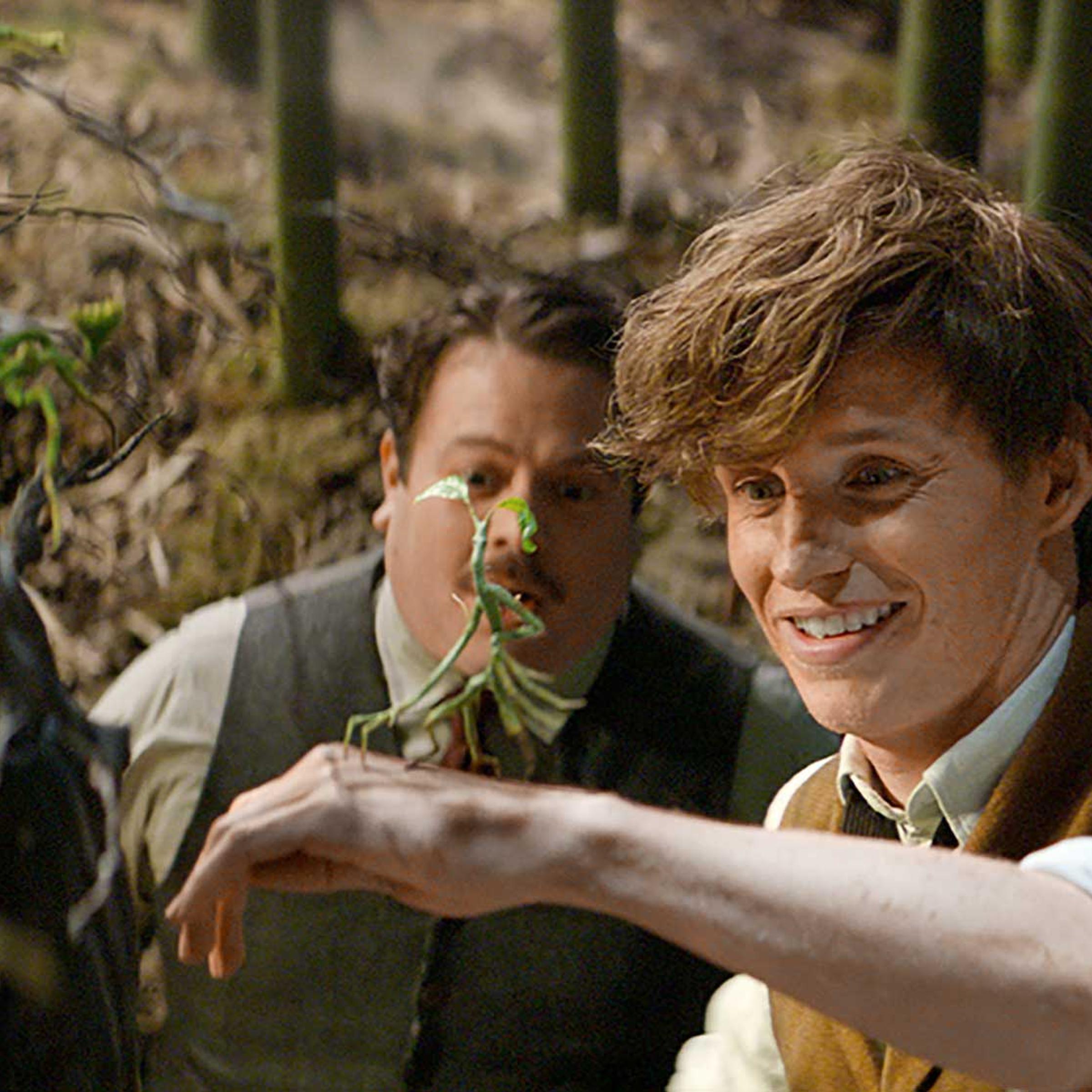 fantastic-beasts-and-where-to-find-them-eddie-redmayne-warner-bros