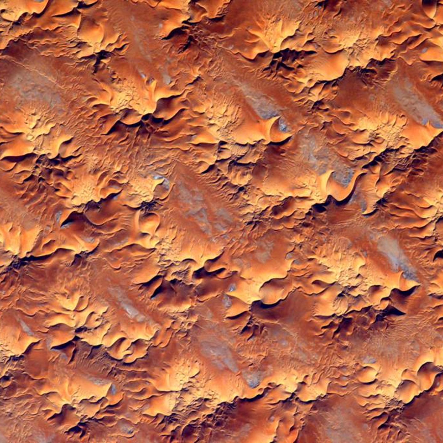 Astronaut Scott Kelly International Space Station photos