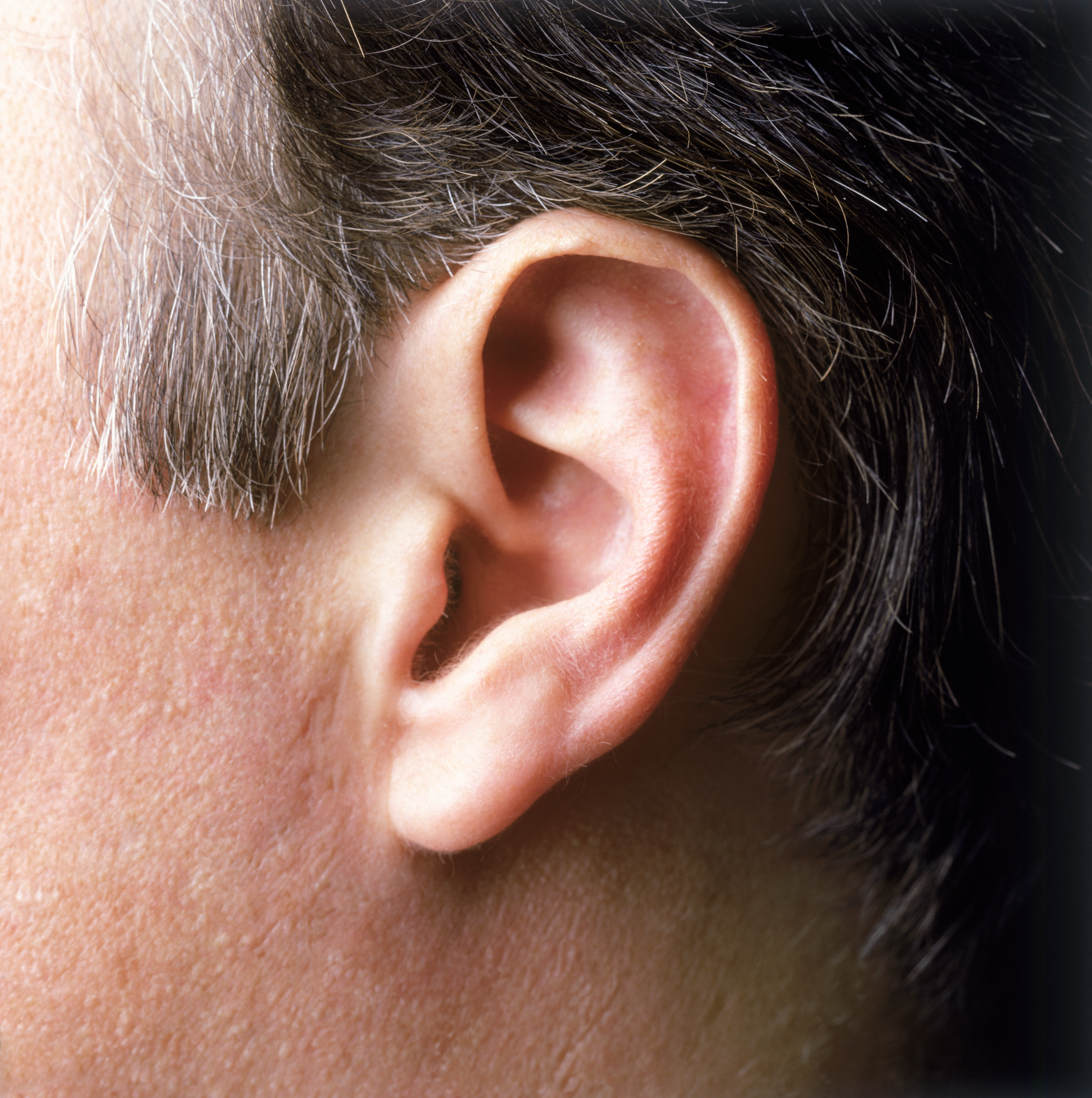 ear