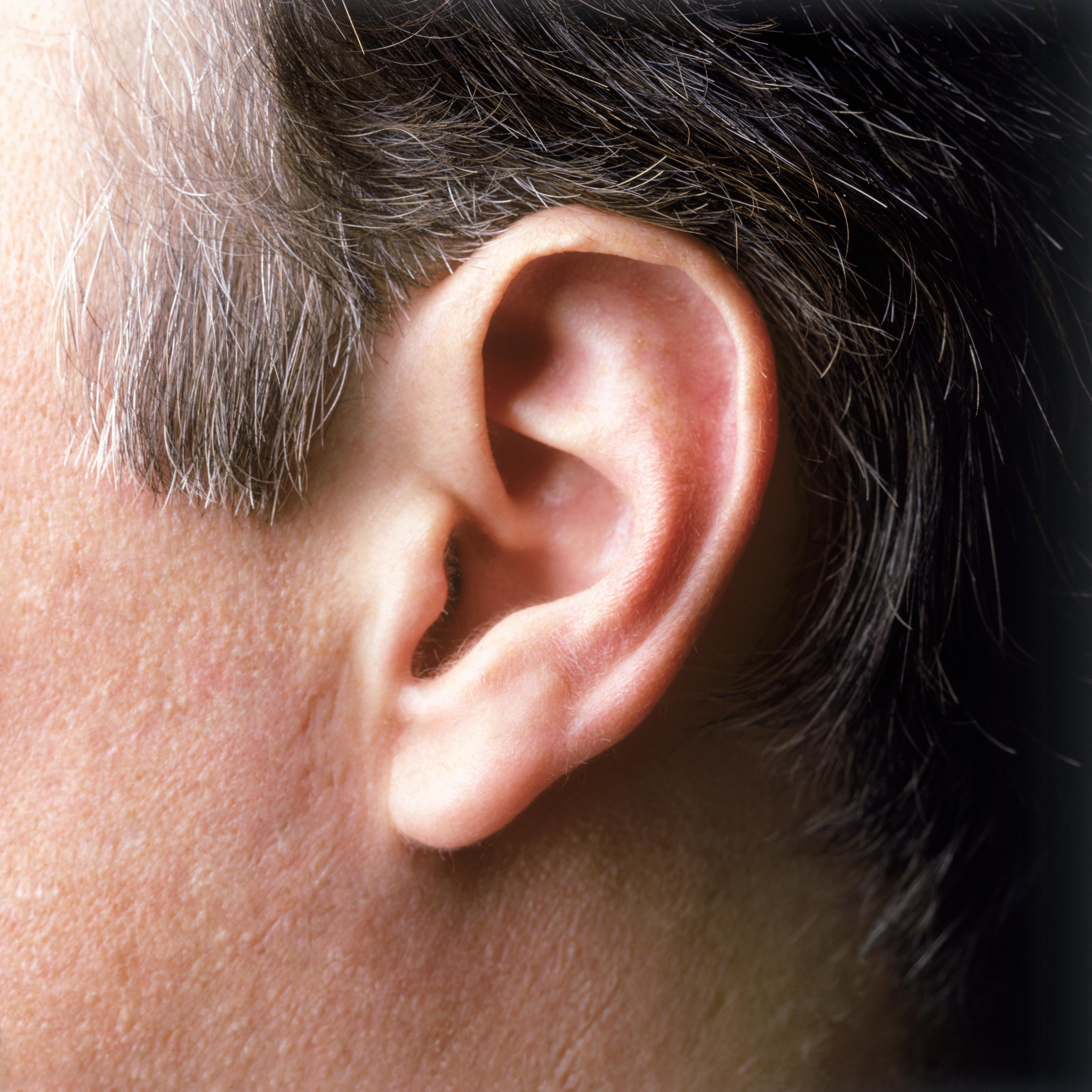 ear