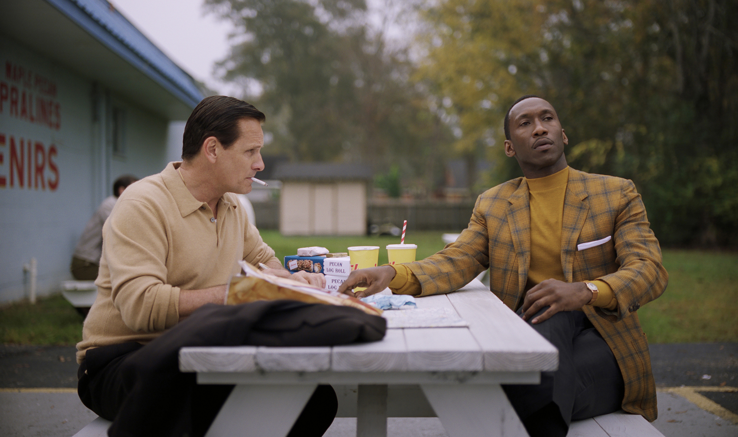 Mahershala Ali, Green Books