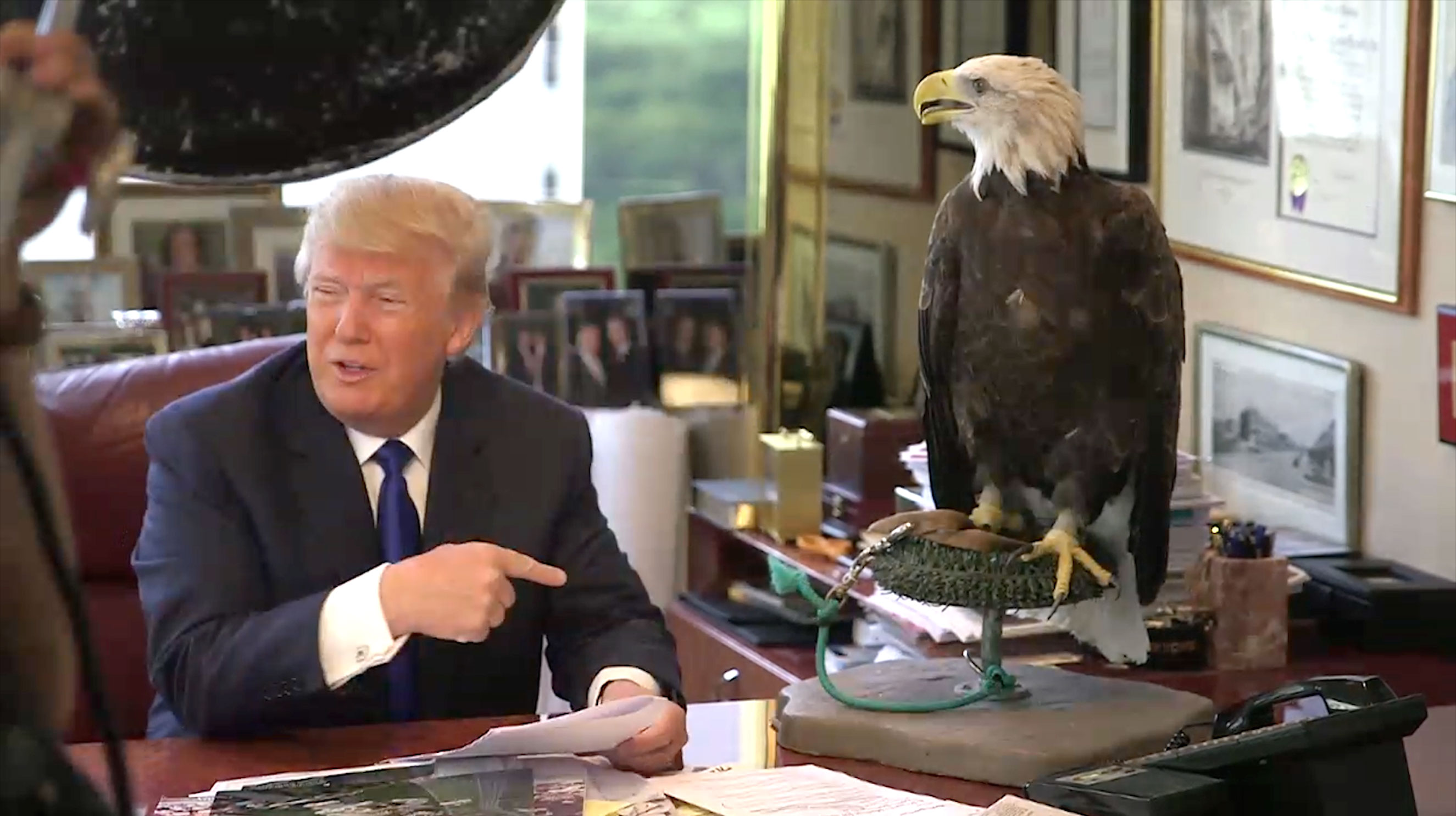 Donald Trump Eagle Attack