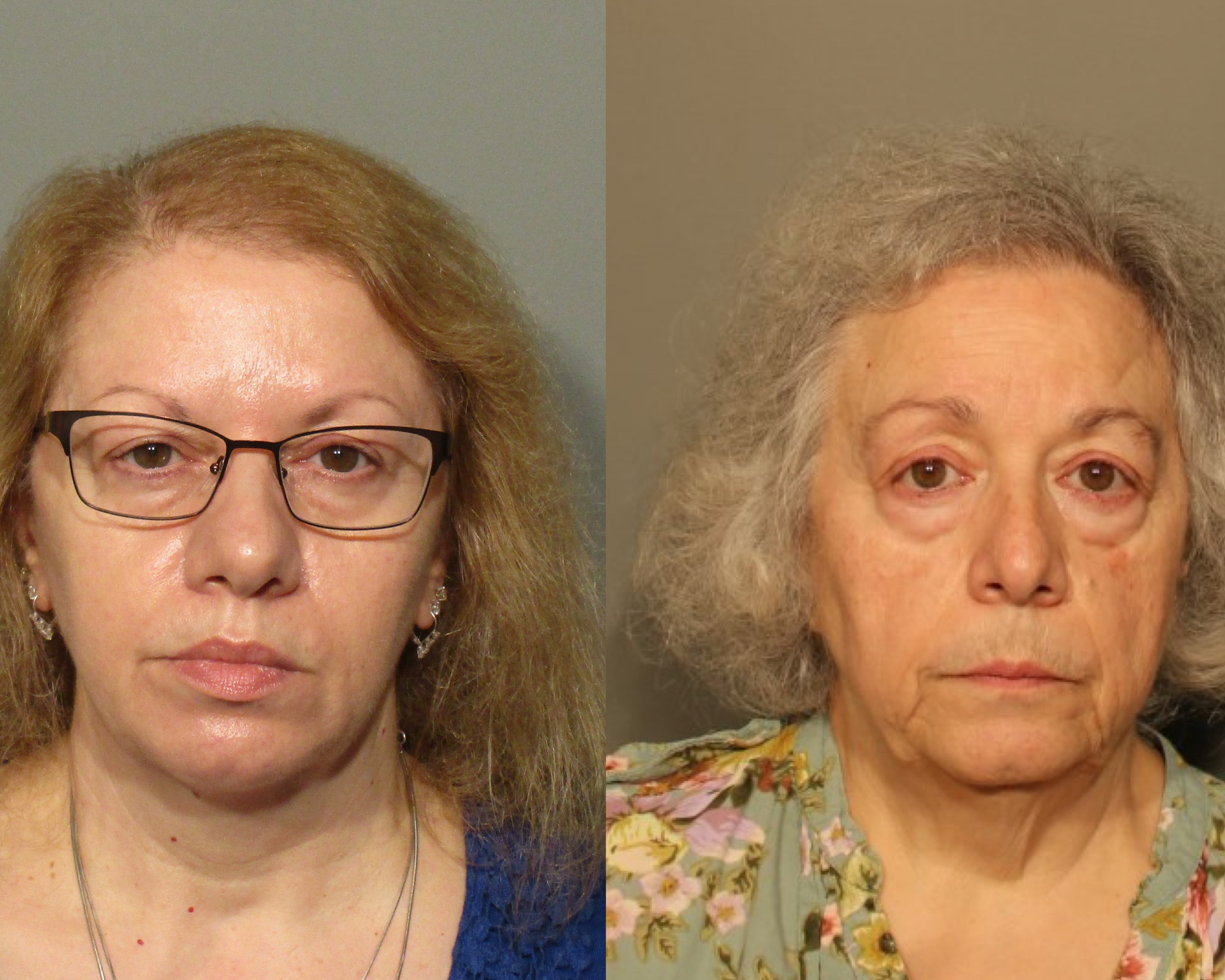 Sisters and former lunch ladies Joanne Pascarelli, 61, and Marie Wilson, 67, are accused of stealing nearly $500,000 from Connecticut school cafeterias over a five-year span, the New Canaan Police Department said.