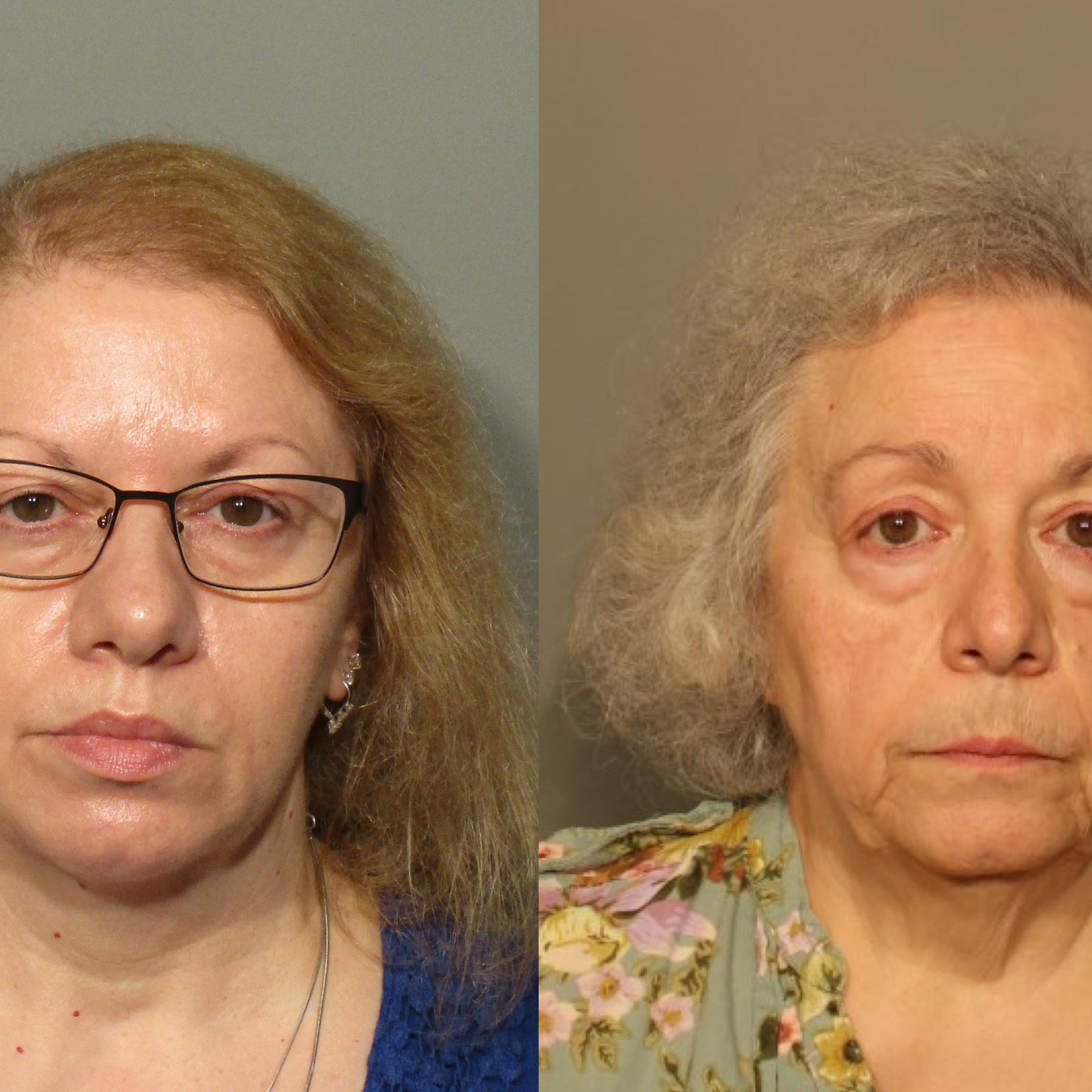 Sisters and former lunch ladies Joanne Pascarelli, 61, and Marie Wilson, 67, are accused of stealing nearly $500,000 from Connecticut school cafeterias over a five-year span, the New Canaan Police Department said.