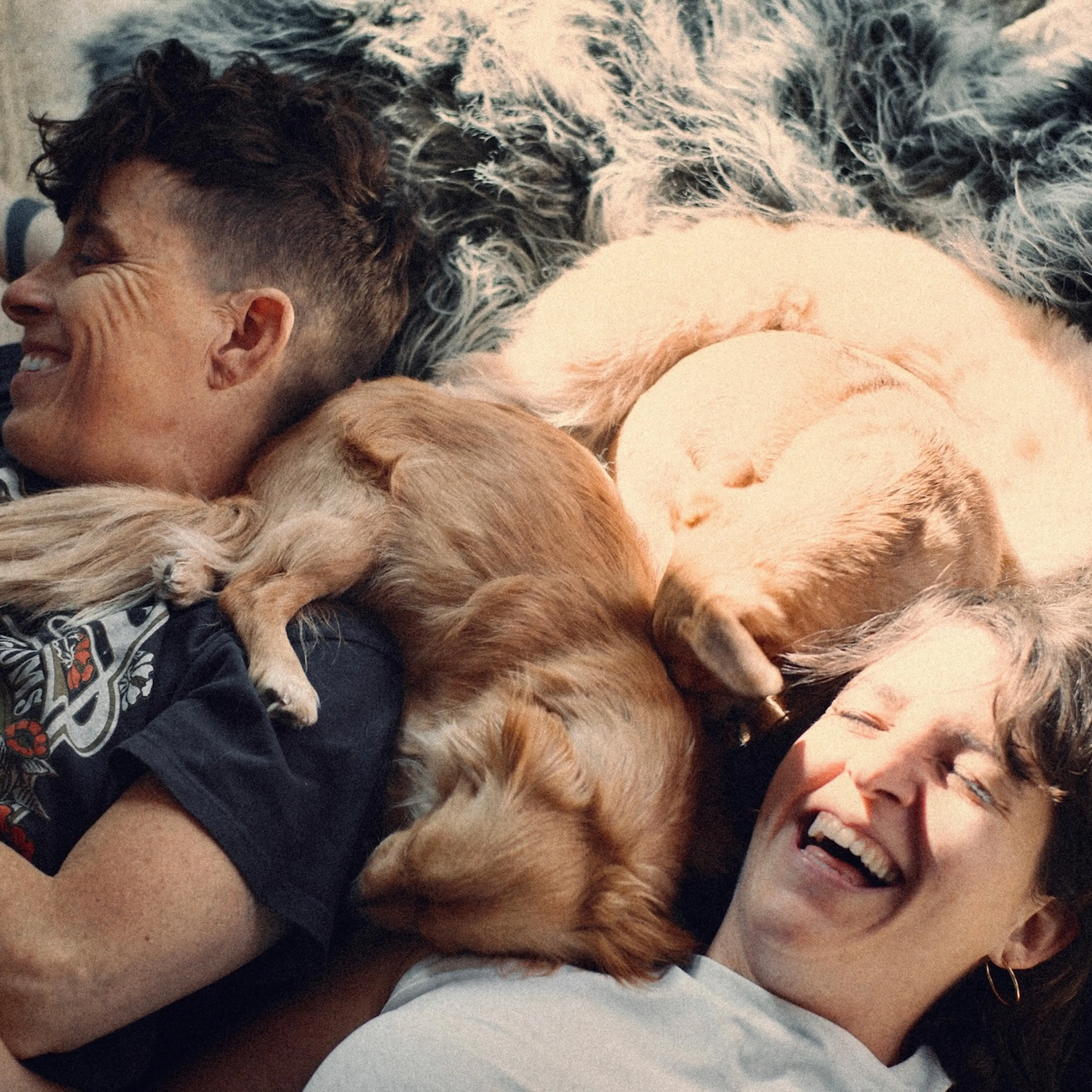 Gibson and Falley, with one of their dogs, in Come See Me in the Good Light