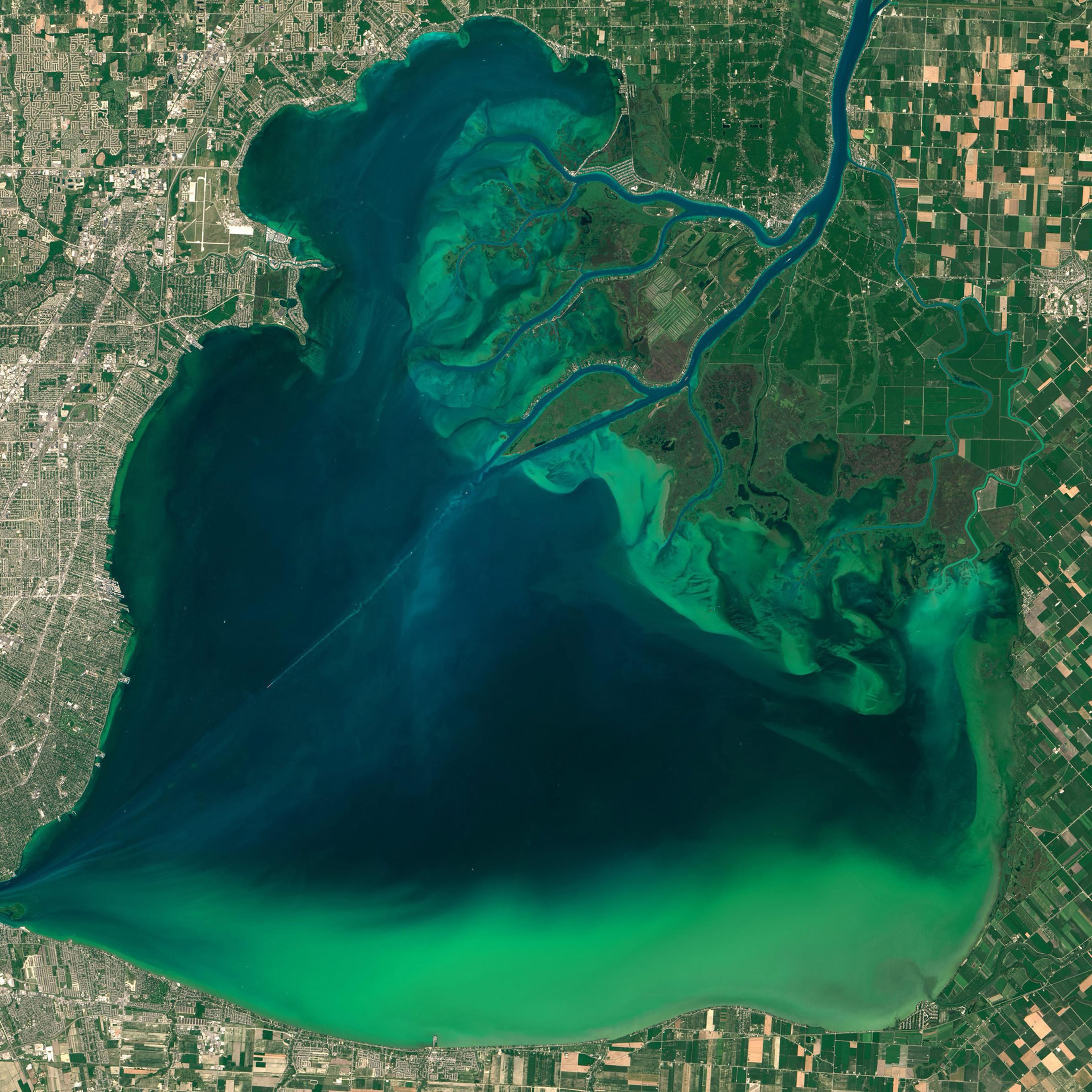 Algae Bloom in Lake St. Clair