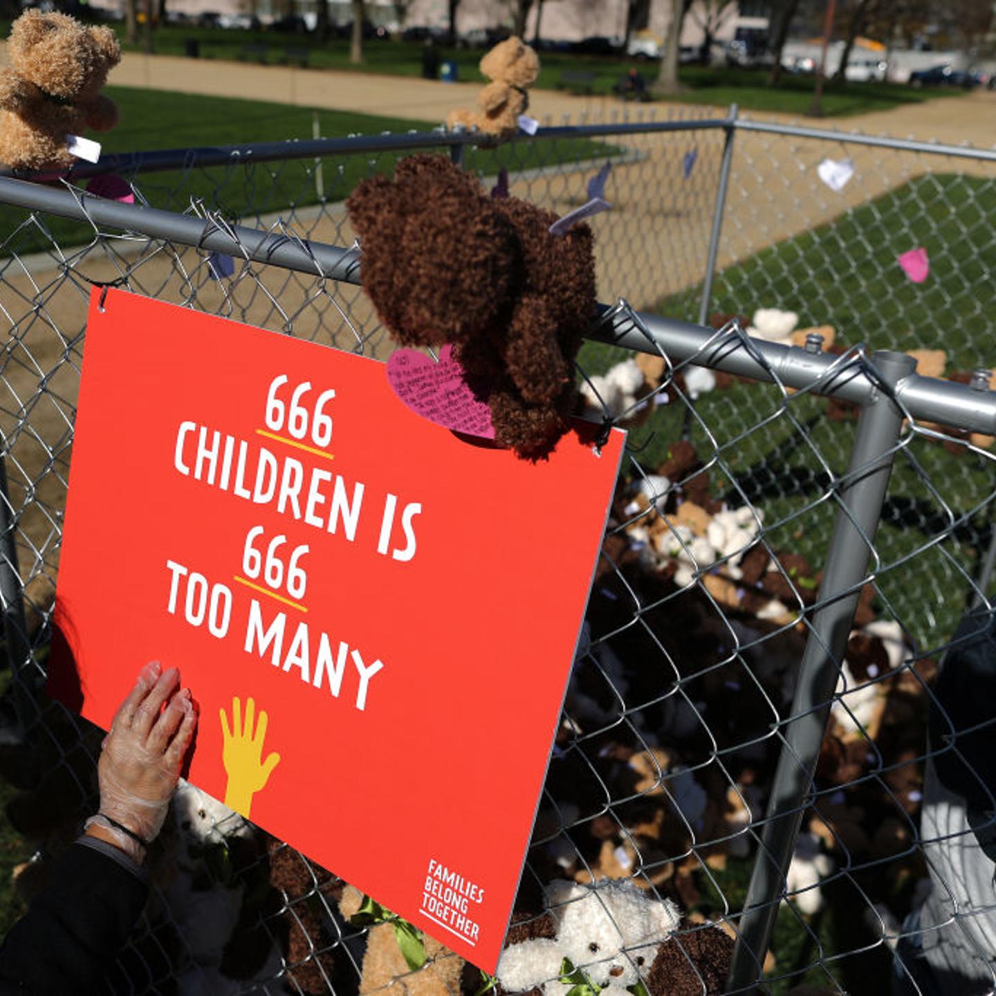 Activists Use Teddy Bears In Cages To Call On Congress To Address Children Separated From Families At The Border