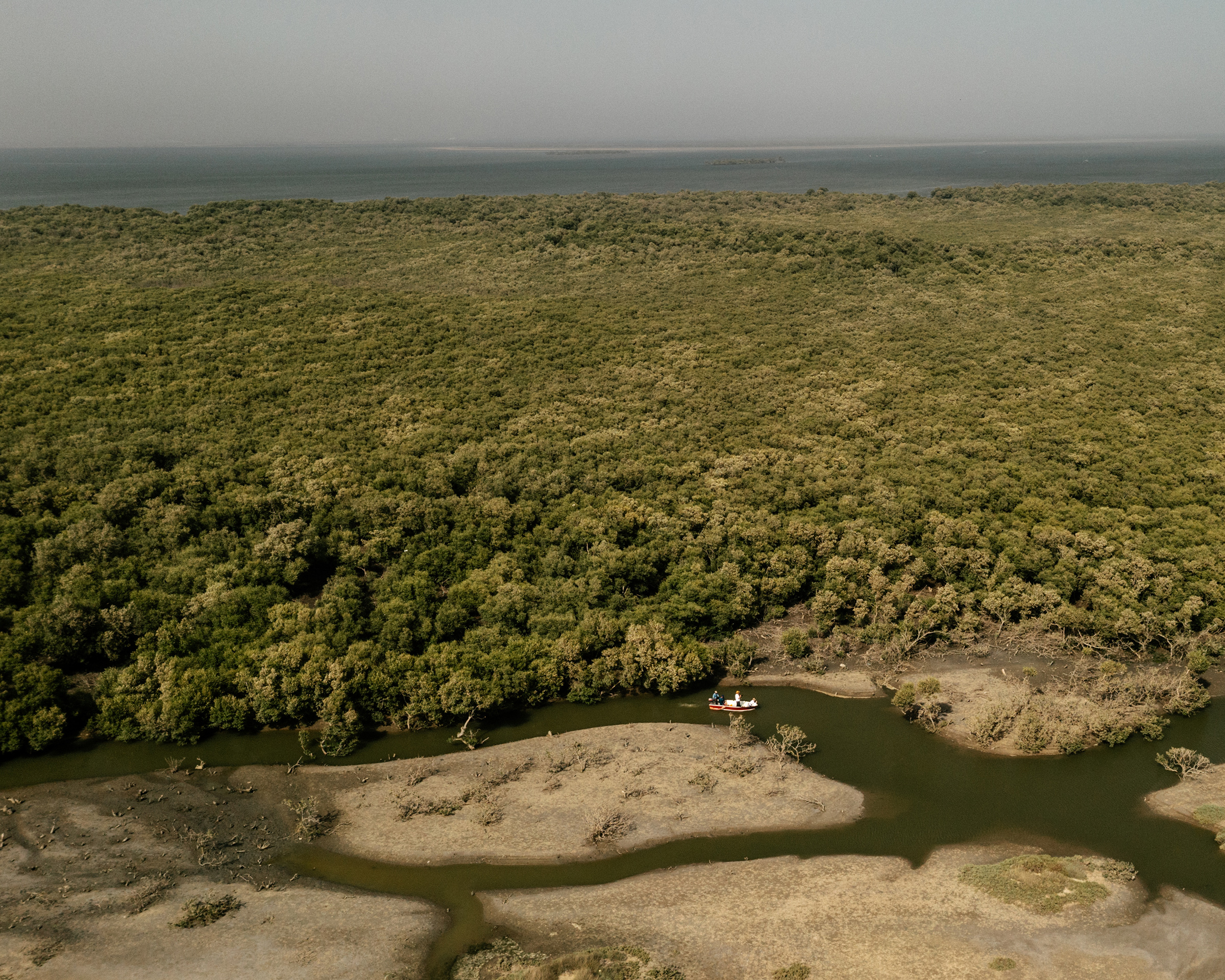 Tariq Qaiser and his assistant on a small dinghy inside the mangrove area on Bundal Island near Karachi