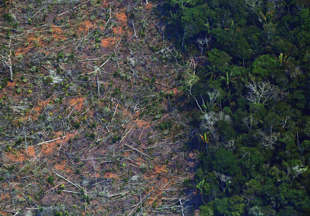 BRAZIL-AMAZON-DEFORESTATION