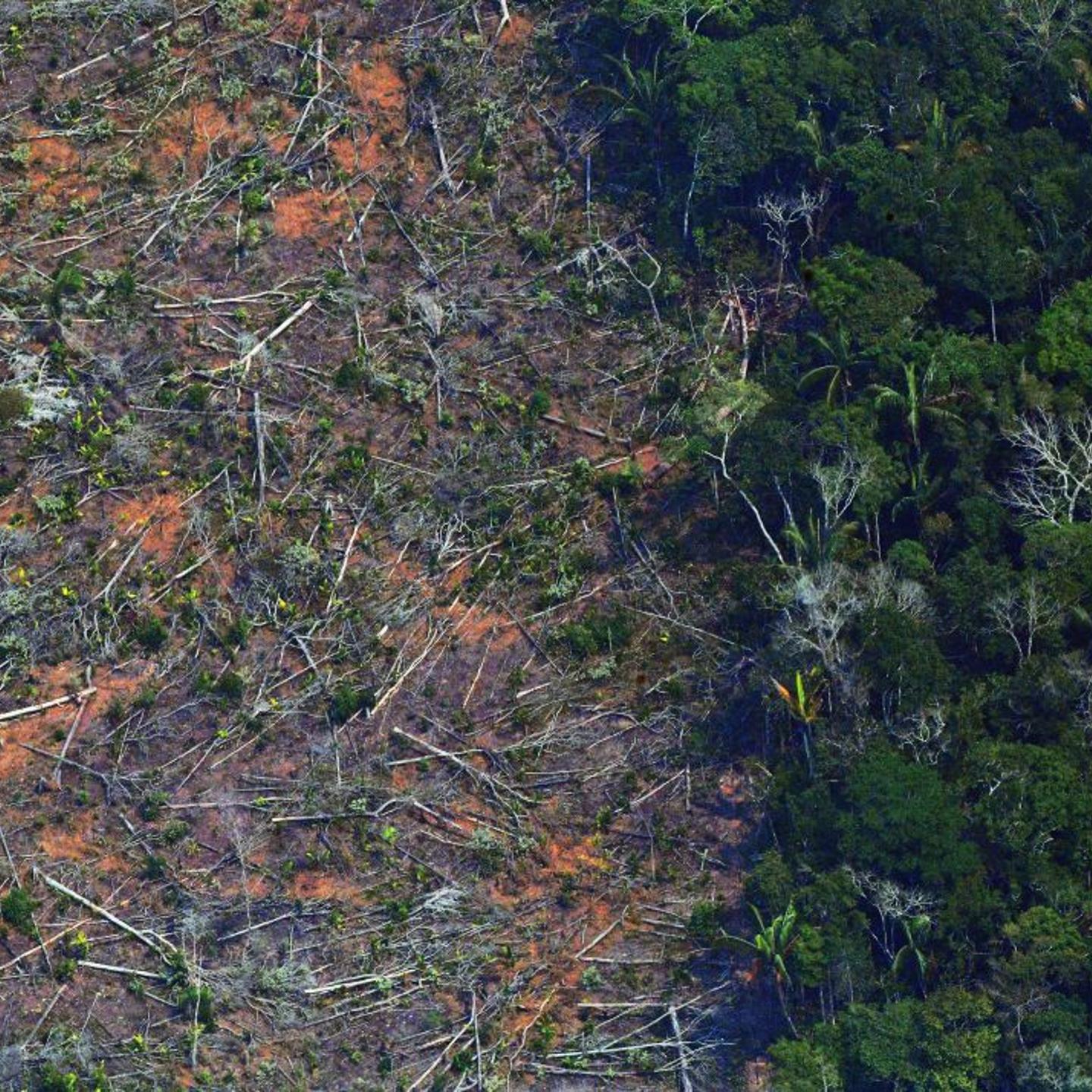 BRAZIL-AMAZON-DEFORESTATION