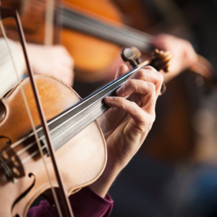 violins-performing