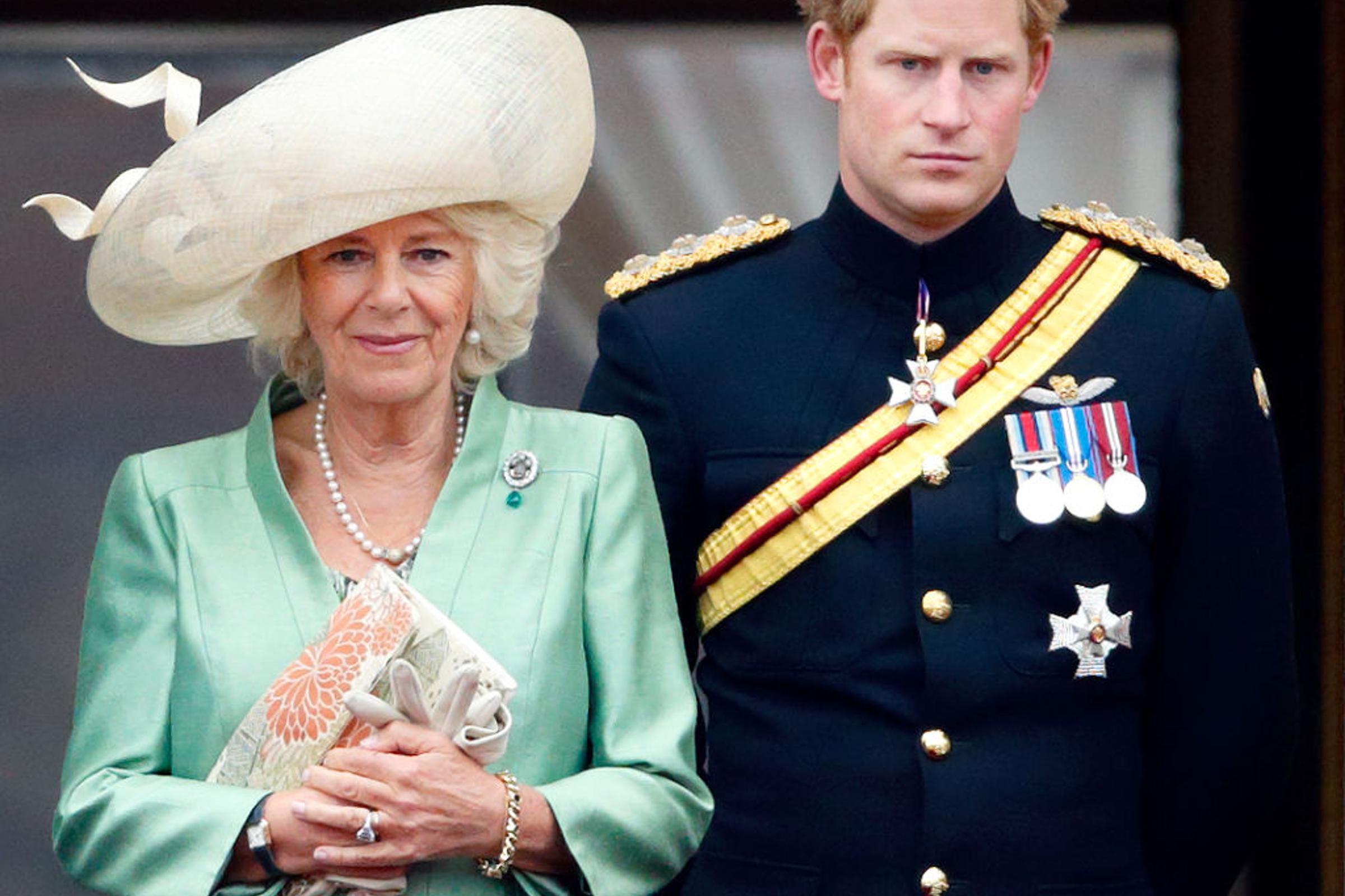 What Prince Harry Says About Camilla in Spare