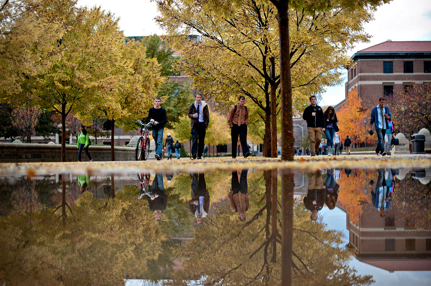 Bureaucrats Paid $250,000 Feed Outcry Over U.S. College Tuition