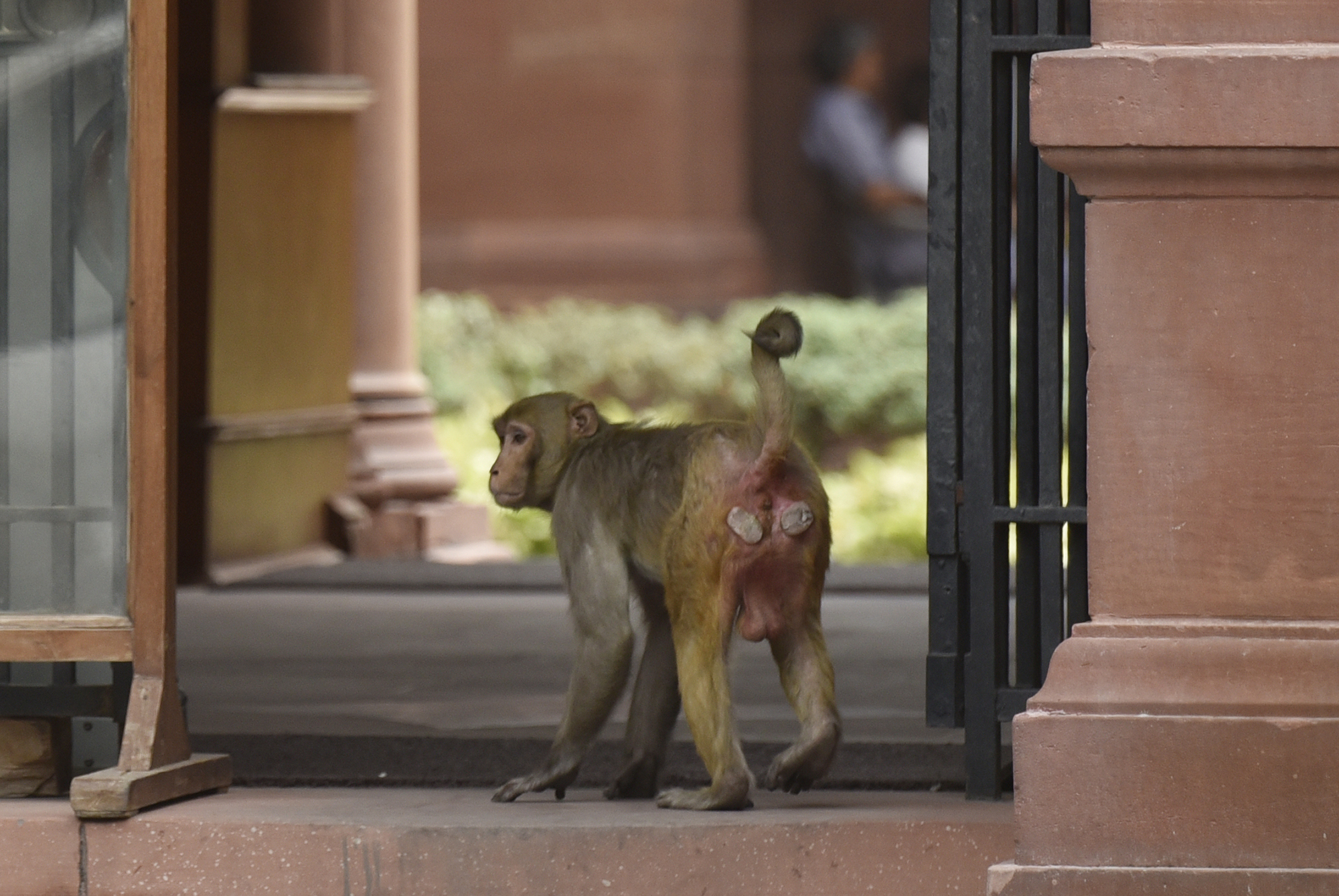 Union Cabinet Meeting
