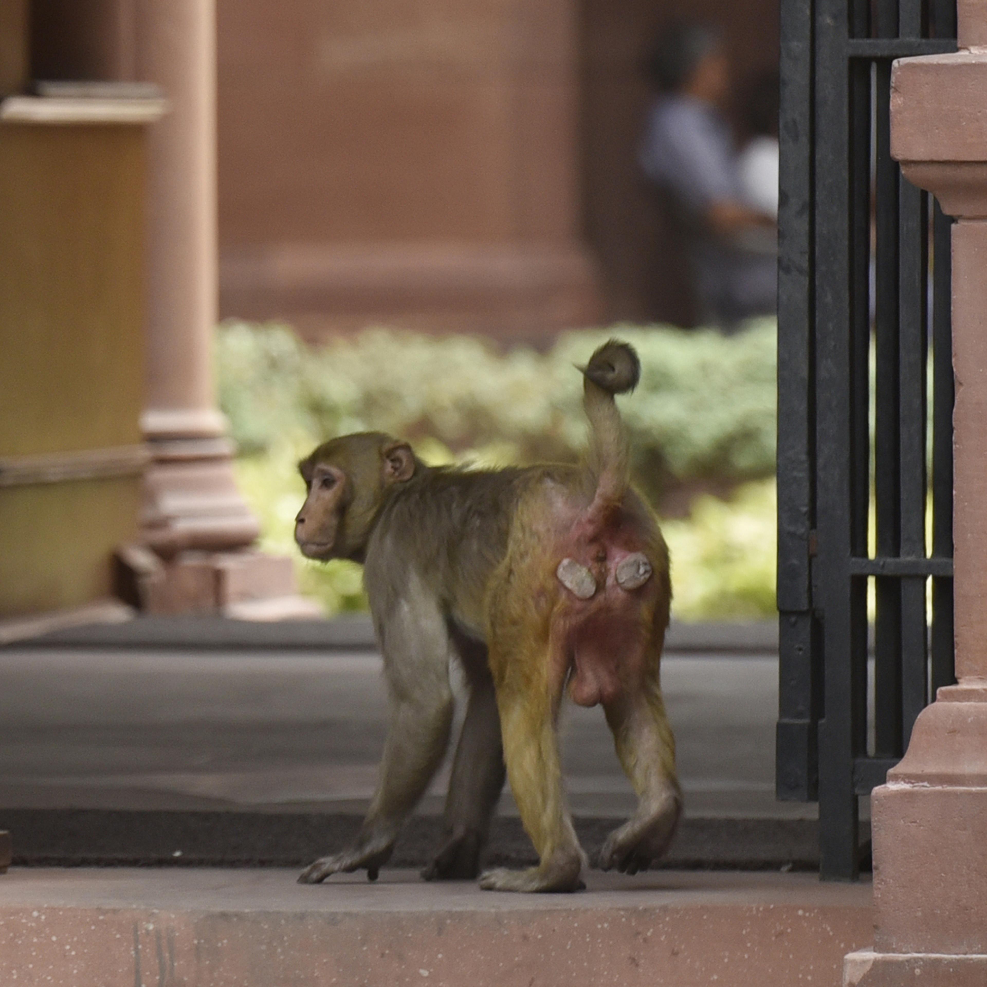 Union Cabinet Meeting