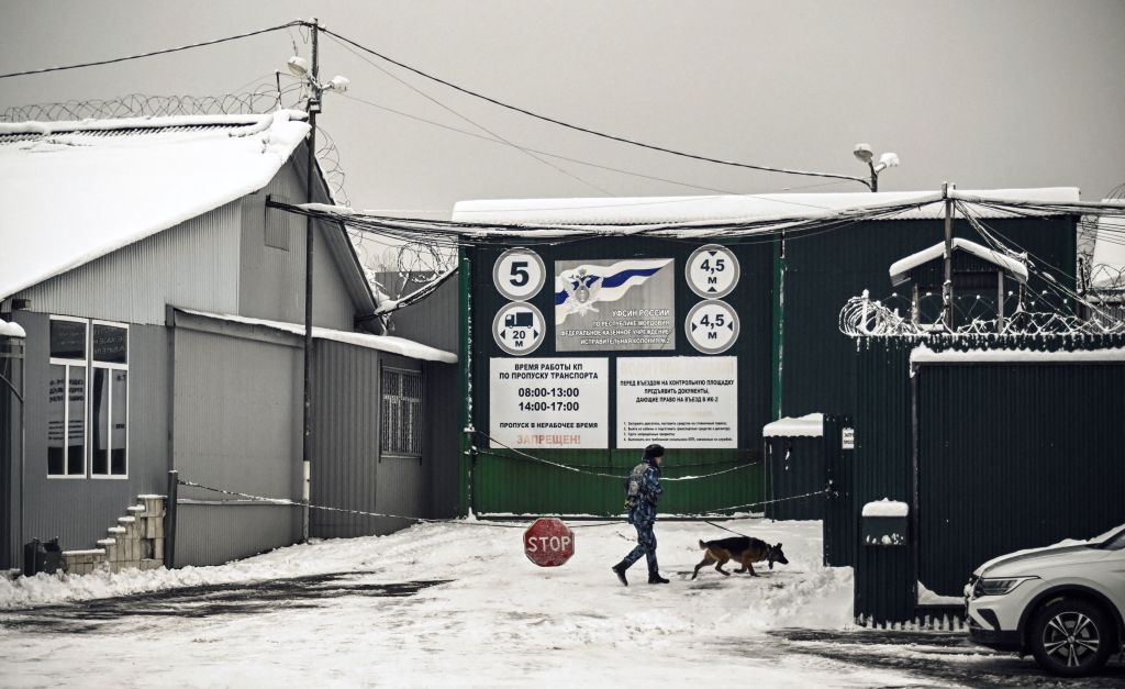 TOPSHOT-RUSSIA-US-DILPOMACY-BASKETBALL-GRINER