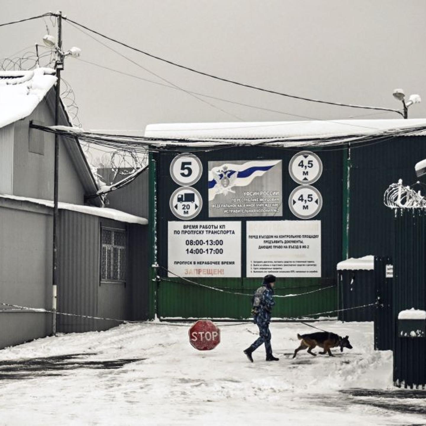 TOPSHOT-RUSSIA-US-DILPOMACY-BASKETBALL-GRINER