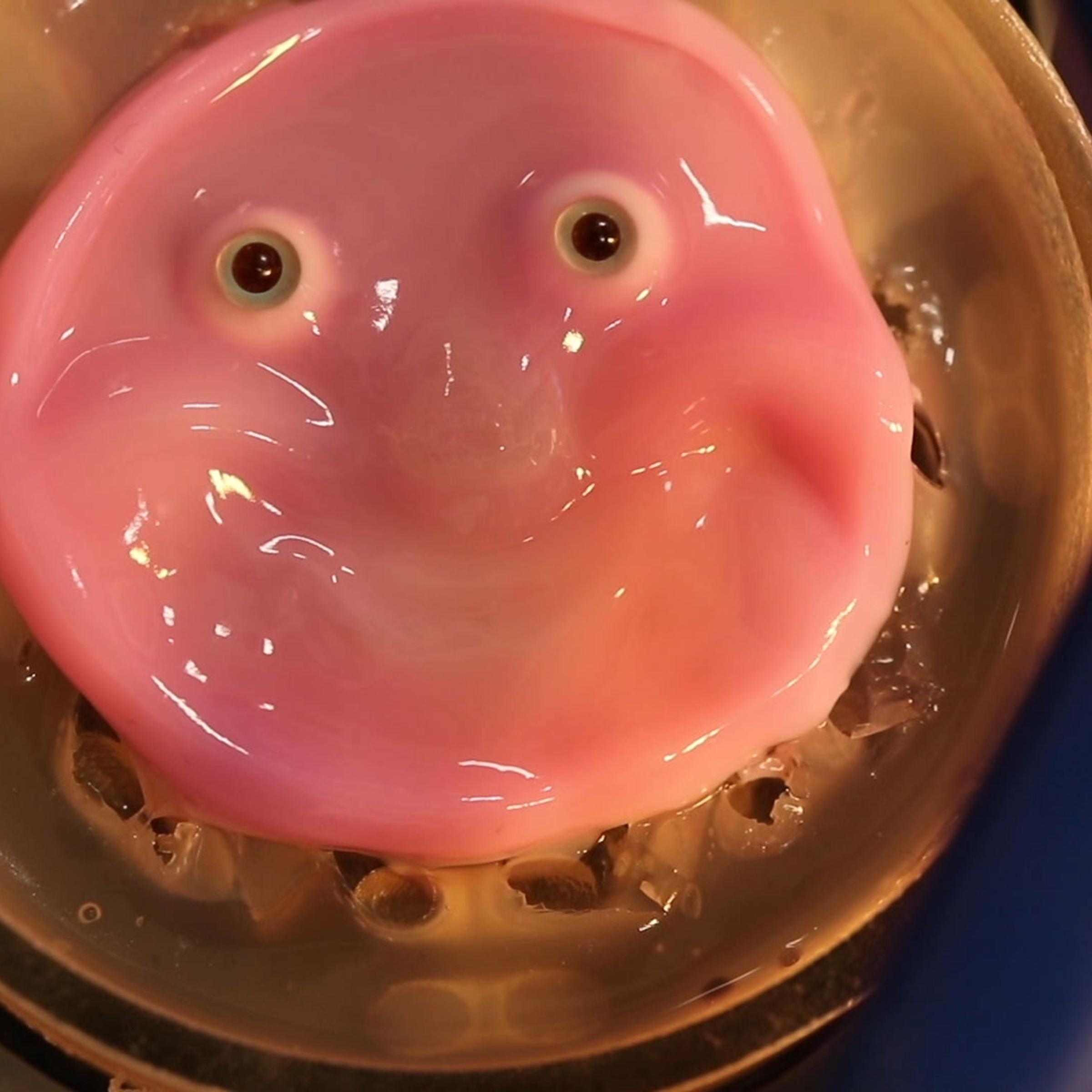 Researchers have discovered a new way to bind "skin" to solid structures through anchors